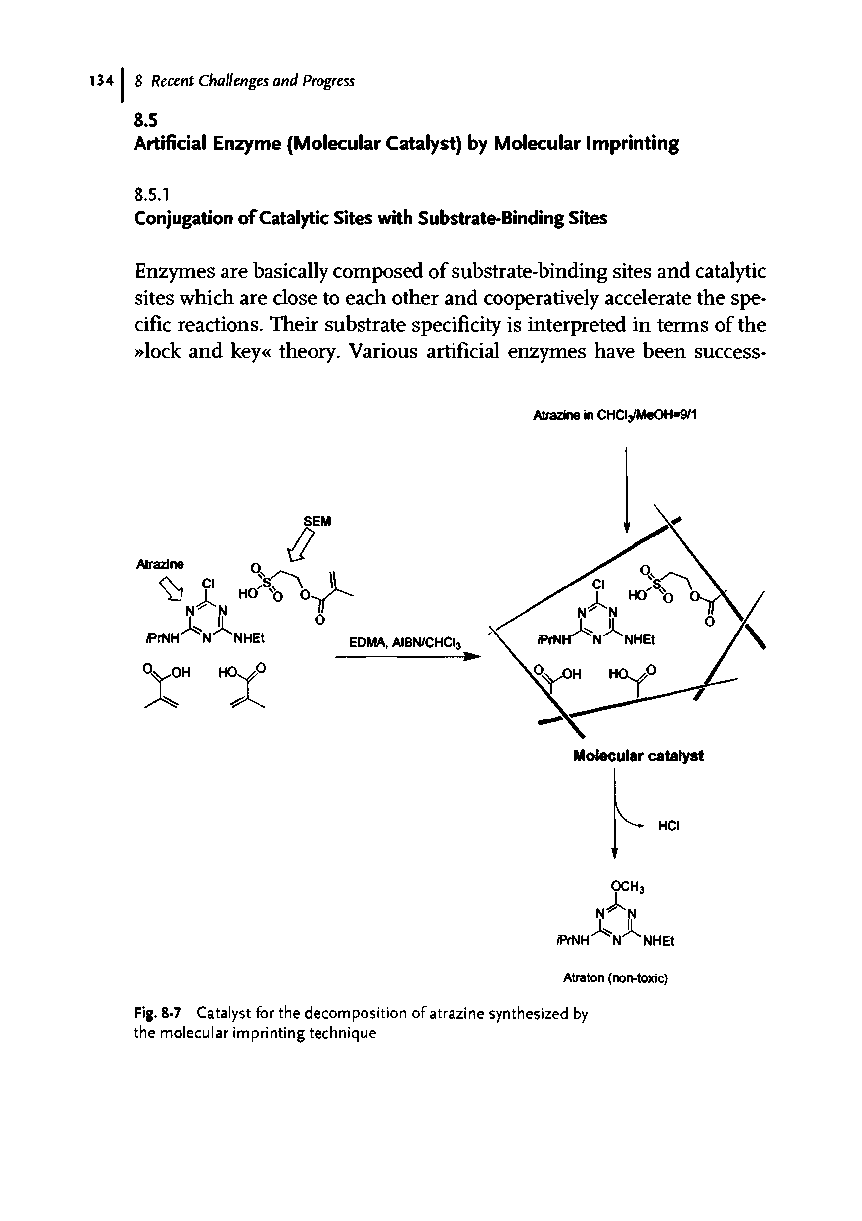 Fig. 8-7 Catalyst for the decomposition of atrazine synthesized by the molecular imprinting technique...