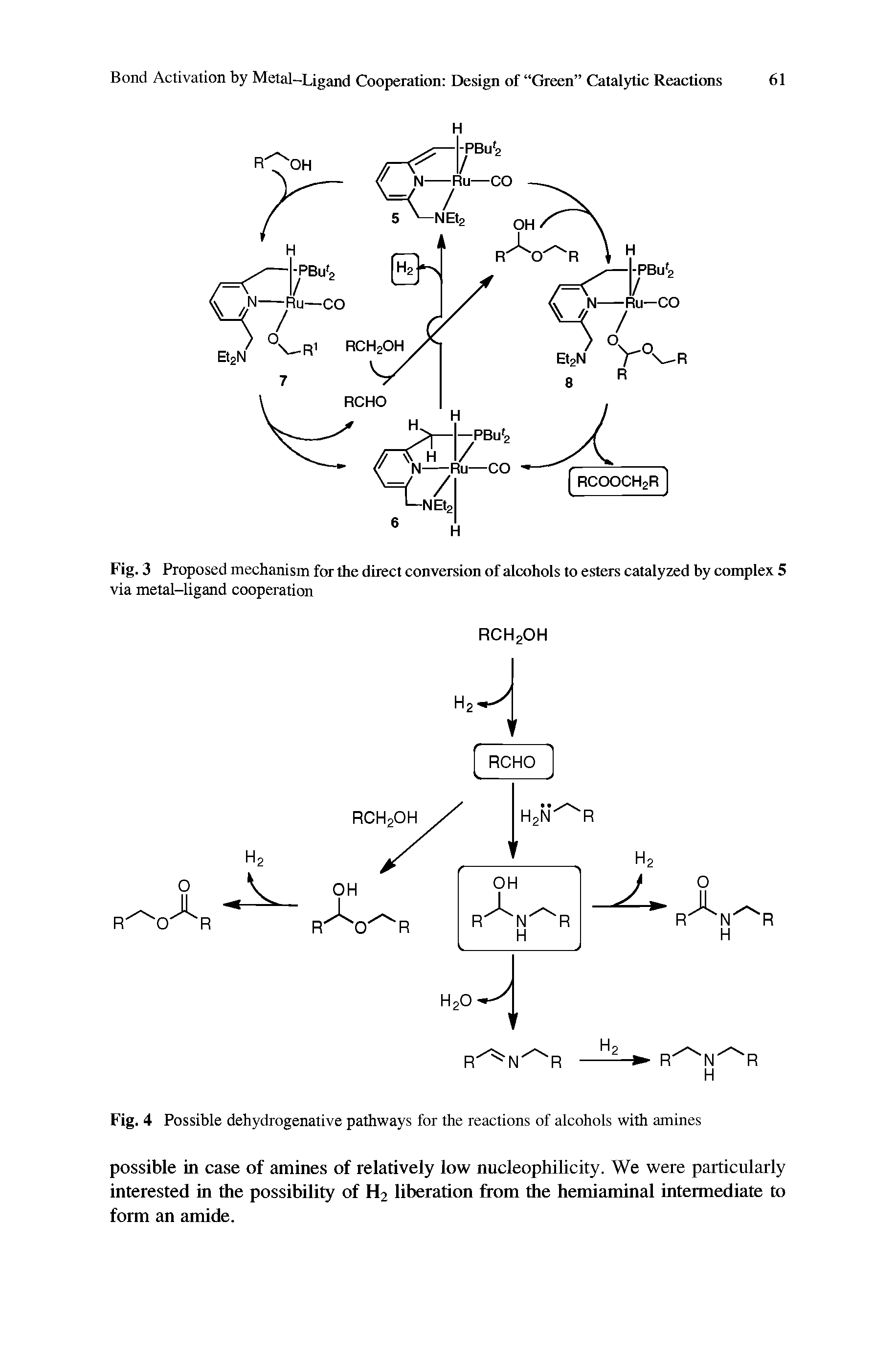 Fig. 3 Proposed mechanism for the direct conversion of alcohols to esters catalyzed by complex 5 via metal-ligand cooperation...