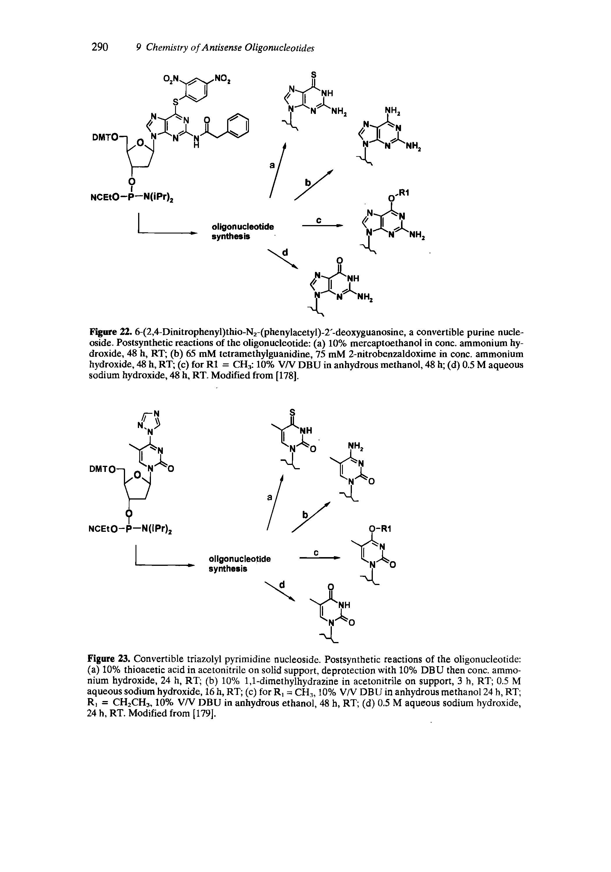 Figure 23. Convertible triazolyl pyrimidine nucleoside. Postsynthetic reactions of the oligonucleotide (a) 10% thioacetic acid in acetonitrile on solid support, deprotection with 10% DBU then cone, ammonium hydroxide, 24 h, RT (b) 10% 1,1-dimethylhydrazine in acetonitrile on support, 3 h, RT 0.5 M aqueous sodium hydroxide, 16 h, RT (c) for R, = CH3,10% V/V DBU in anhydrous methanol 24 h, RT Ri = CH2CH3,10% V/V DBU in anhydrous ethanol, 48 h, RT (d) 0.5 M aqueous sodium hydroxide, 24 h, RT. Modified from [179],...