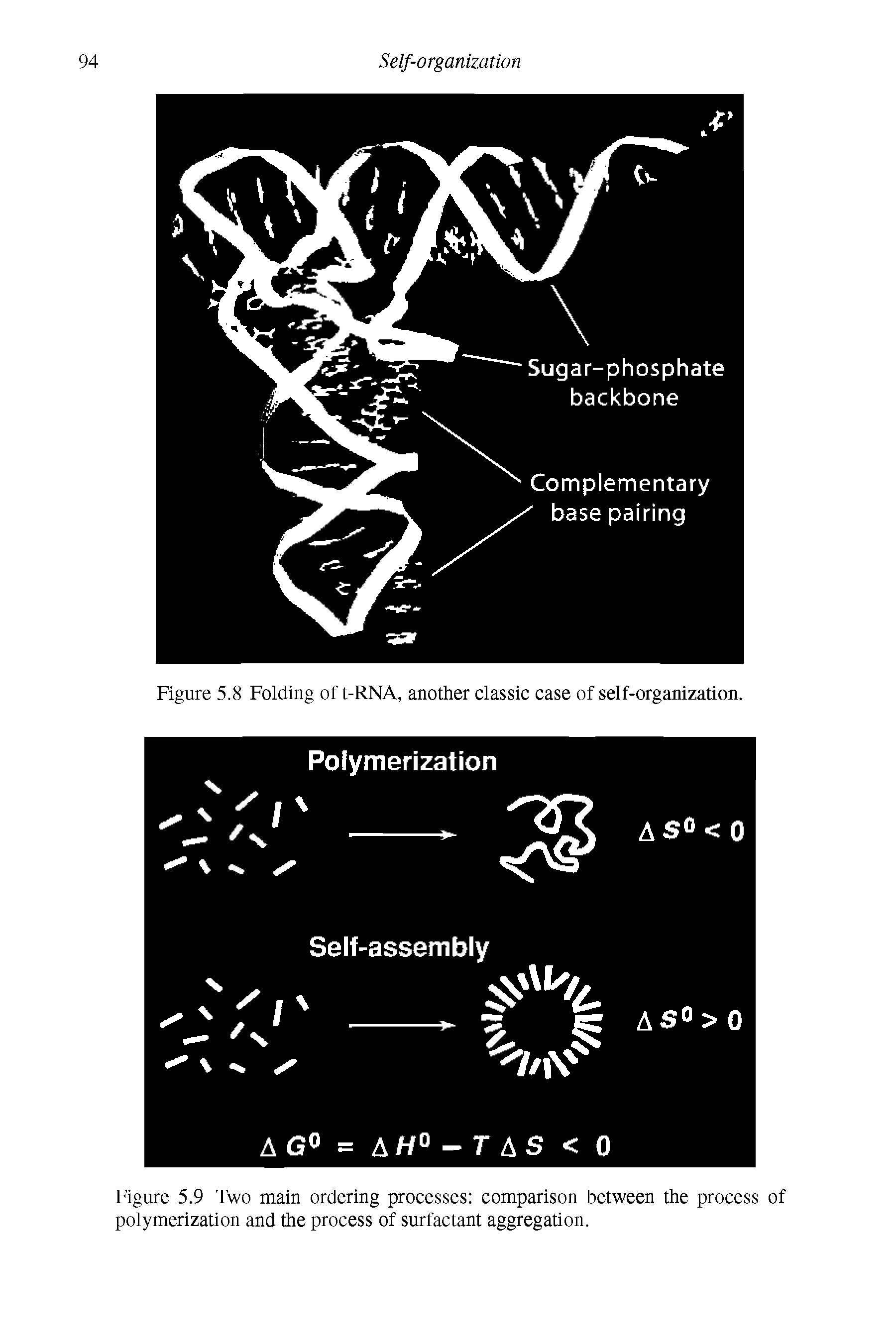 Figure 5.9 Two main ordering processes comparison between the process of polymerization and the process of surfactant aggregation.