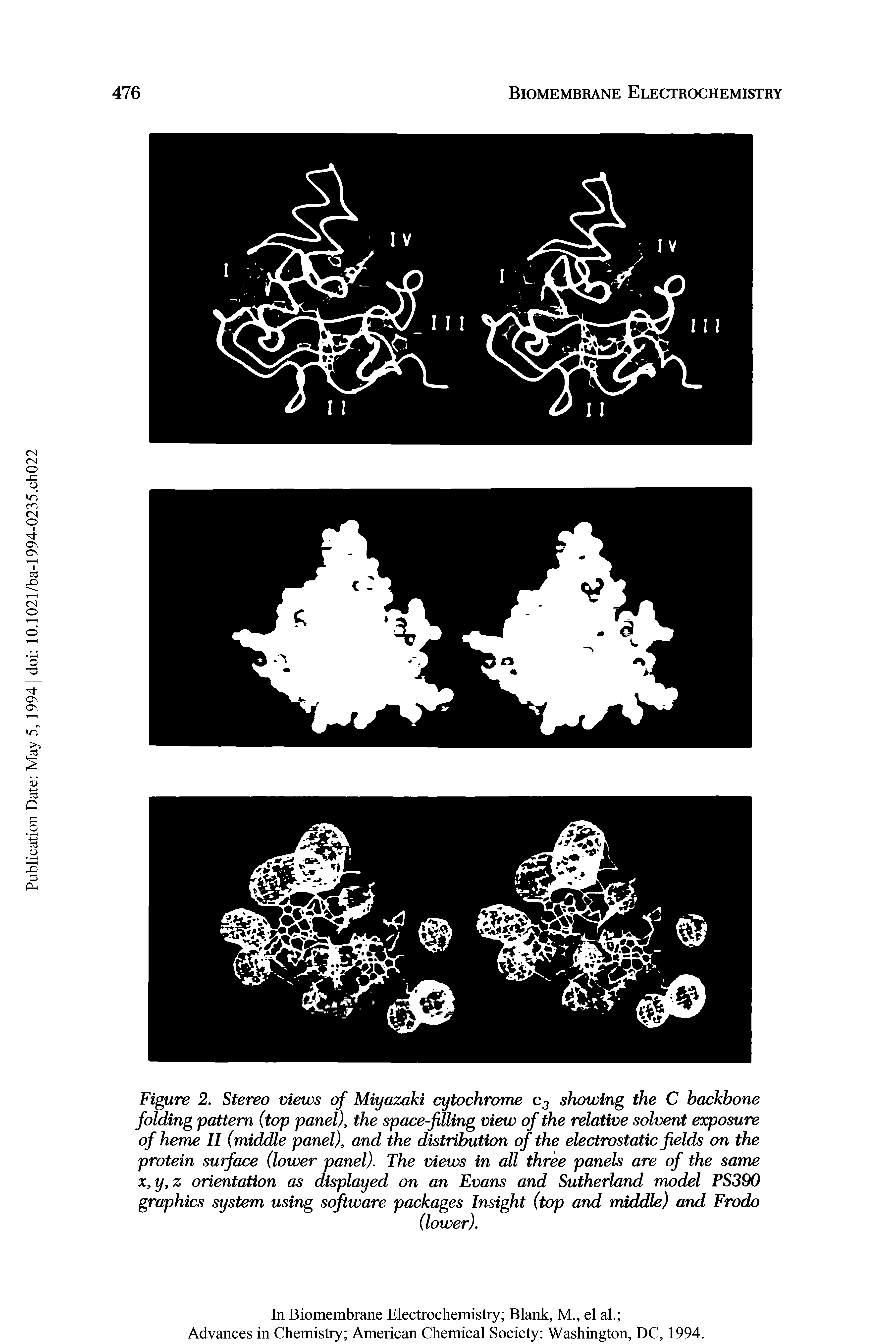 Figure 2. Stereo views of Miyazaki cytochrome c3 showing the C backbone folding pattern (top panel), the space-filling view of the relative solvent exposure of heme II (middle panel), and the distribution of the electrostatic fields on the protein surface (lower panel). The views in all three panels are of the same x,y,z orientation as displayed on an Evans and Sutherland model PS390 graphics system using software packages Insight (top and middle) and Frodo...