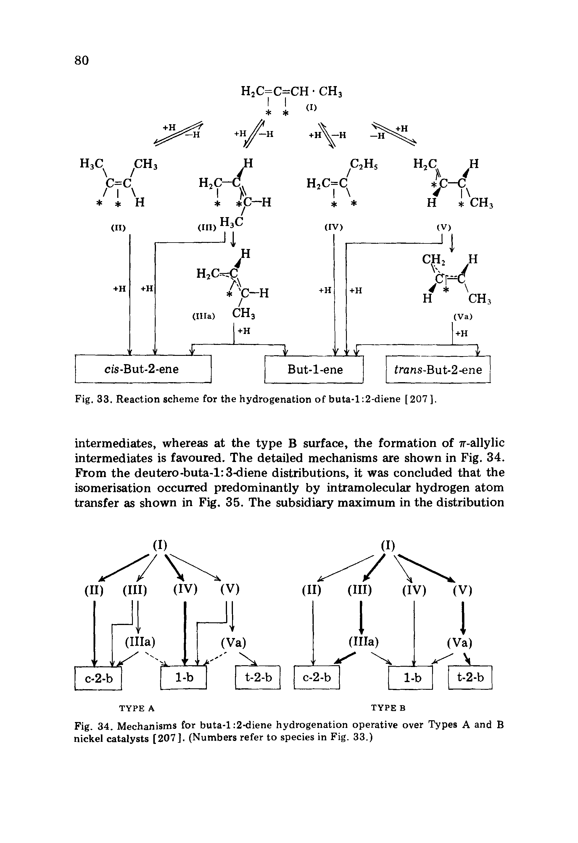 Fig. 34. Mechanisms for buta-1 2-diene hydrogenation operative over Types A and B nickel catalysts [207]. (Numbers refer to species in Fig. 33.)...