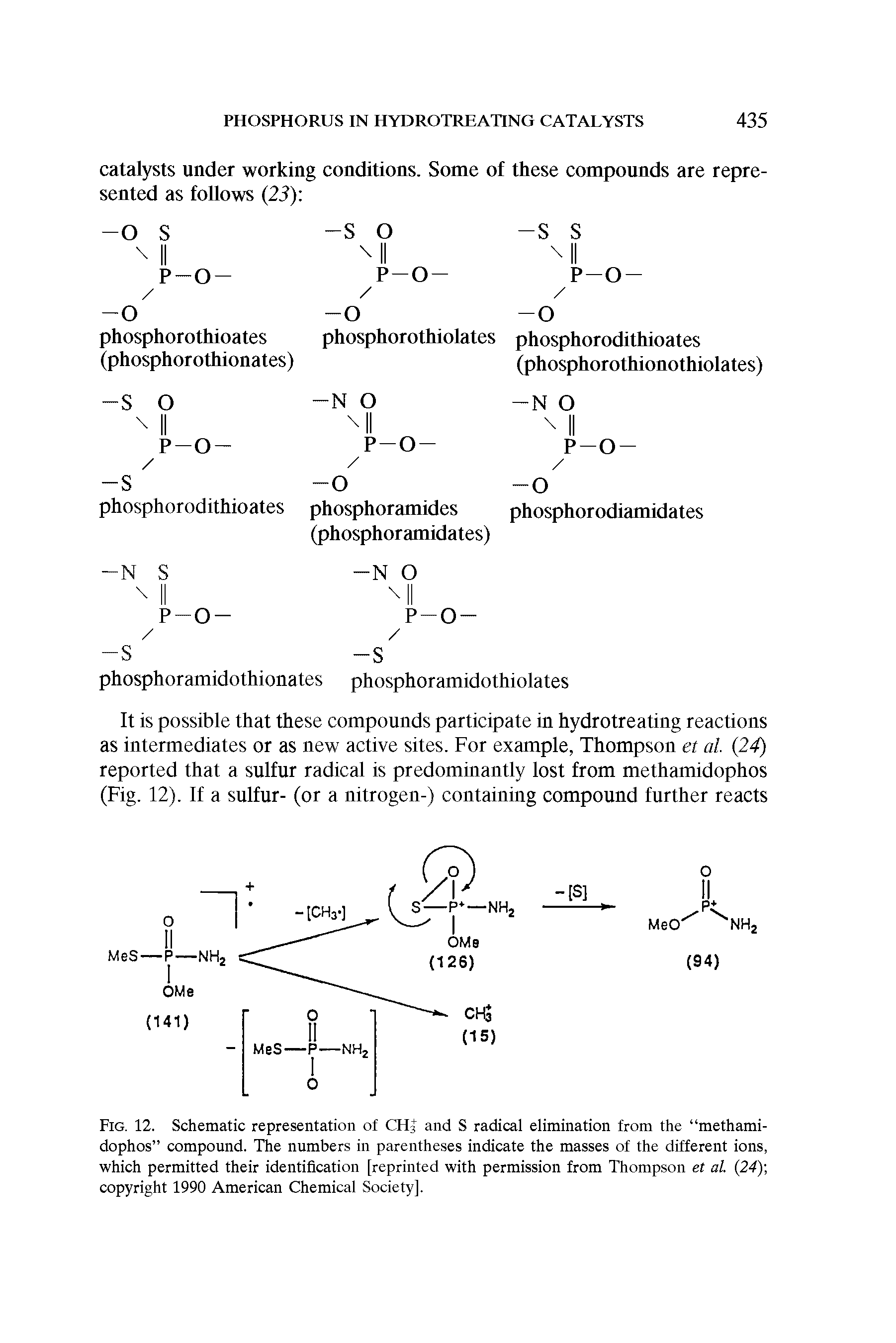 Fig. 12. Schematic representation of CHJ and S radical elimination from the methamidophos compound. The numbers in parentheses indicate the masses of the different ions, which permitted their identification [reprinted with permission from Thompson et al. 24) copyright 1990 American Chemical Society].