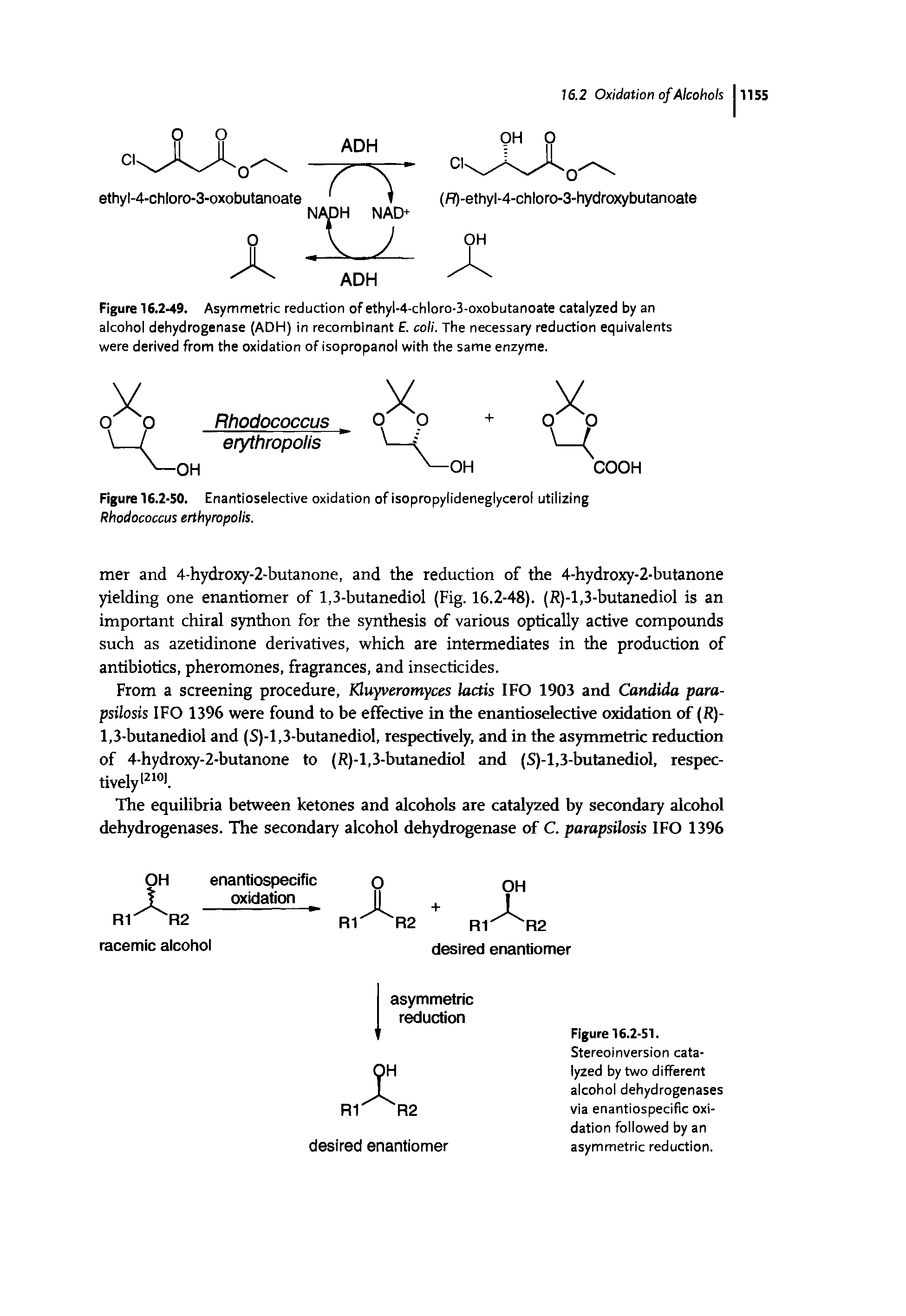 Figure 16.2-49. Asymmetric reduction of ethyl-4-chloro-3-oxobutanoate catalyzed by an alcohol dehydrogenase (ADH) in recombinant E. coli. The necessary reduction equivalents were derived from the oxidation of isopropanol with the same enzyme.