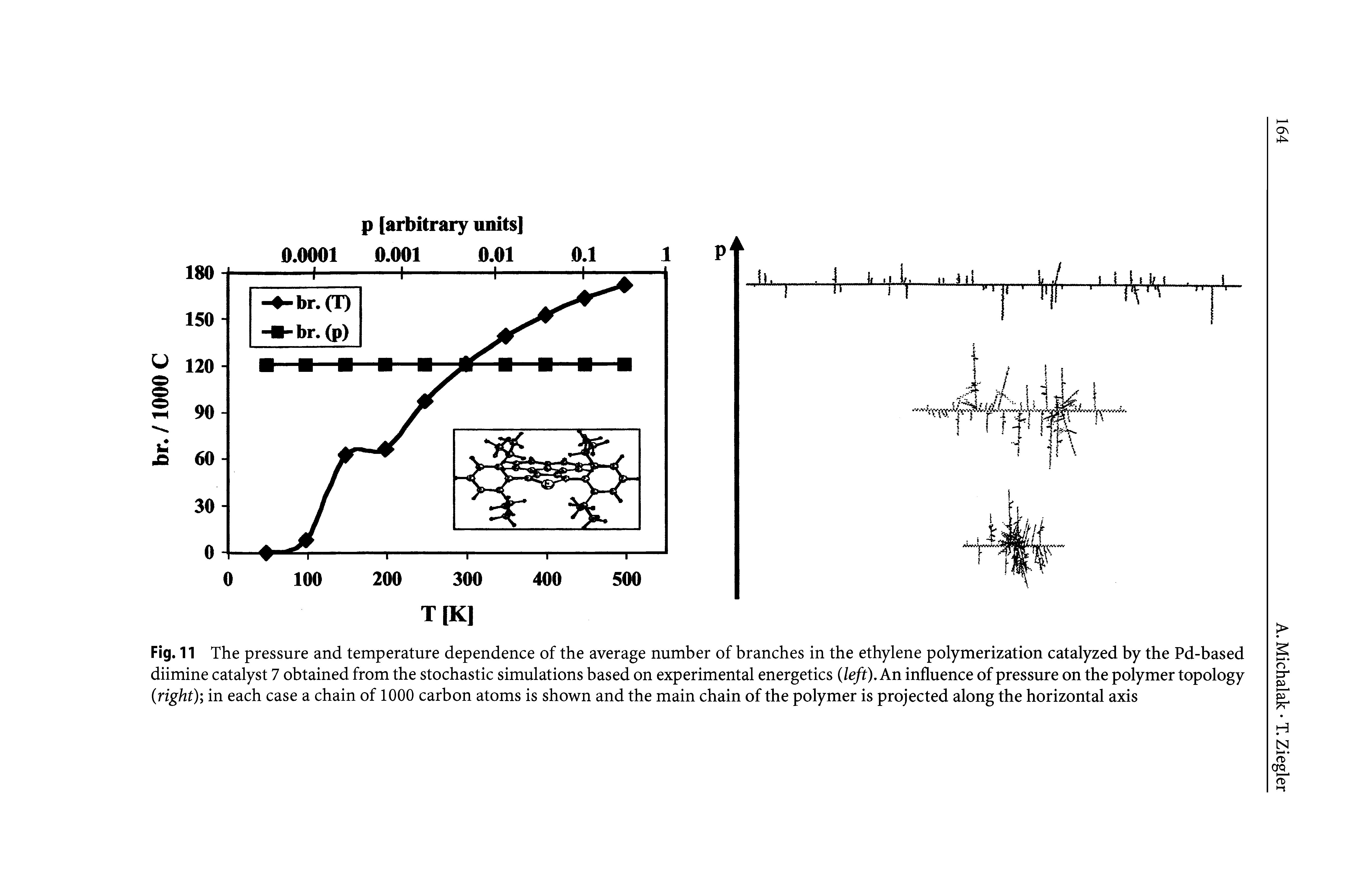 Fig. 11 The pressure and temperature dependence of the average number of branches in the ethylene polymerization catalyzed by the Pd-based diimine catalyst 7 obtained from the stochastic simulations based on experimental energetics (left). An influence of pressure on the polymer topology (right) in each case a chain of 1000 carbon atoms is shown and the main chain of the polymer is projected along the horizontal axis...