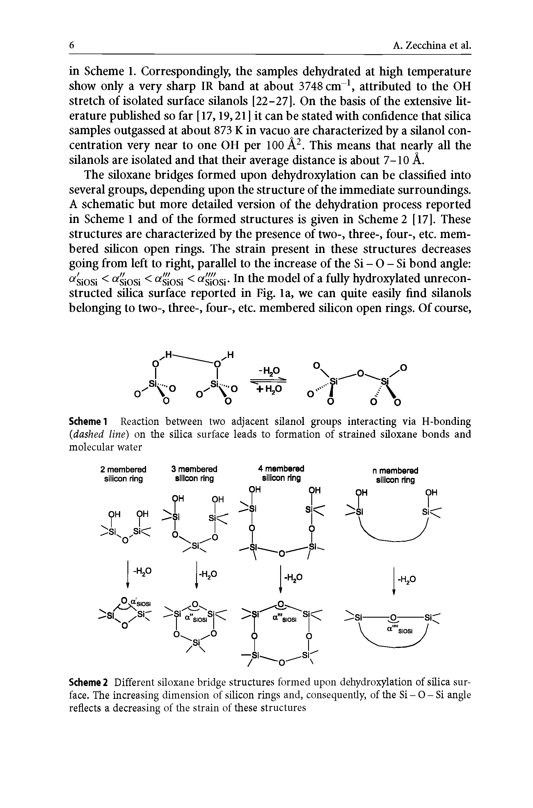 Scheme 2 Different siloxane bridge structures formed upon dehydroxylation of silica surface. The increasing dimension of silicon rings and, consequently, of the Si - O - Si angle reflects a decreasing of the strain of these structures...