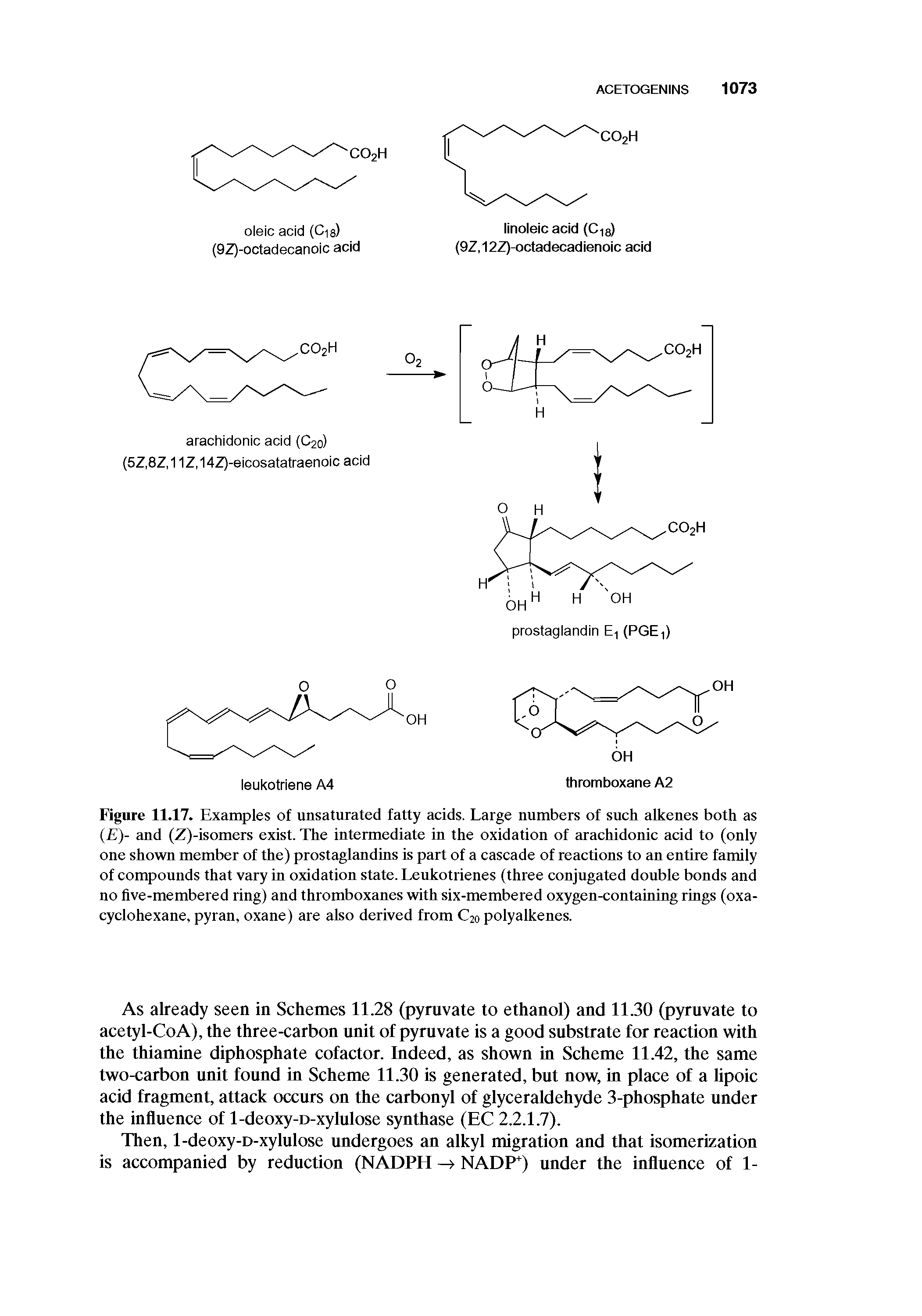 Figure 11.17. Examples of unsaturated fatty acids. Large numbers of such alkenes both as ( )- and (Z)-isomers exist. The intermediate in the oxidation of arachidonic acid to (only one shown member of the) prostaglandins is part of a cascade of reactions to an entire family of compounds that vary in oxidation state. Leukotrienes (three conjugated double bonds and no five-membered ring) and thromboxanes with six-membered oxygen-containing rings (oxa-cyclohexane, pyran, oxane) are also derived from C20 polyalkenes.