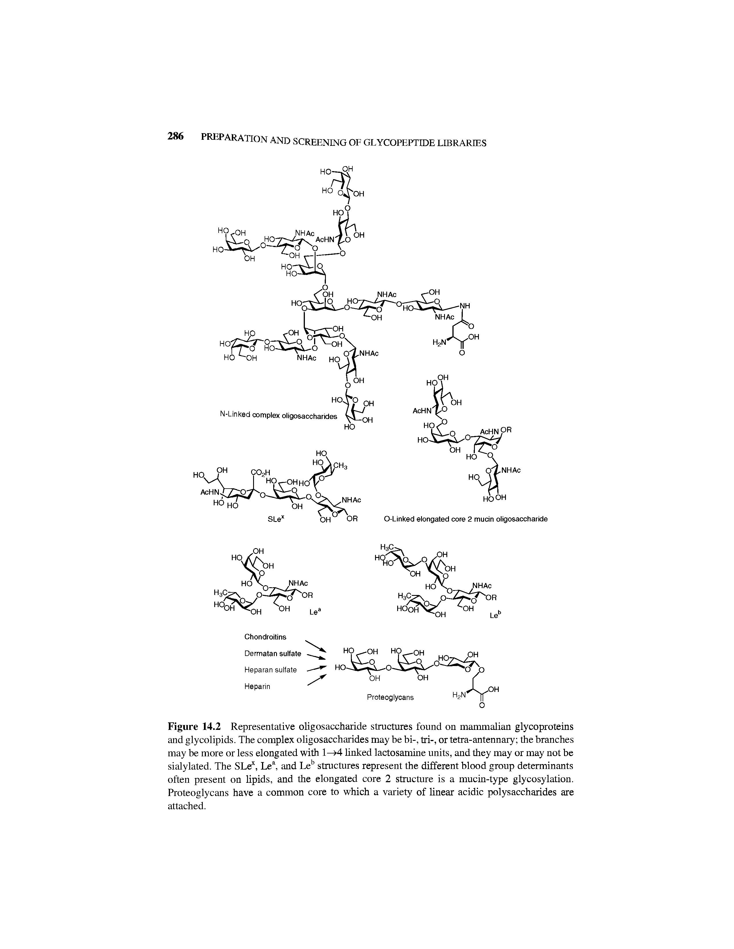 Figure 14.2 Representative oligosaccharide structures found on mammalian glycoproteins and glycolipids. The complex oligosaccharides may be bi-, tri-, or tetra-antennary the branches may be more or less elongated with 1—>4 linked lactosamine units, and they may or may not be sialylated. The SLex, Lea, and Leb structures represent the different blood group determinants often present on lipids, and the elongated core 2 structure is a mucin-type glycosylation. Proteoglycans have a common core to which a variety of linear acidic polysaccharides are attached.