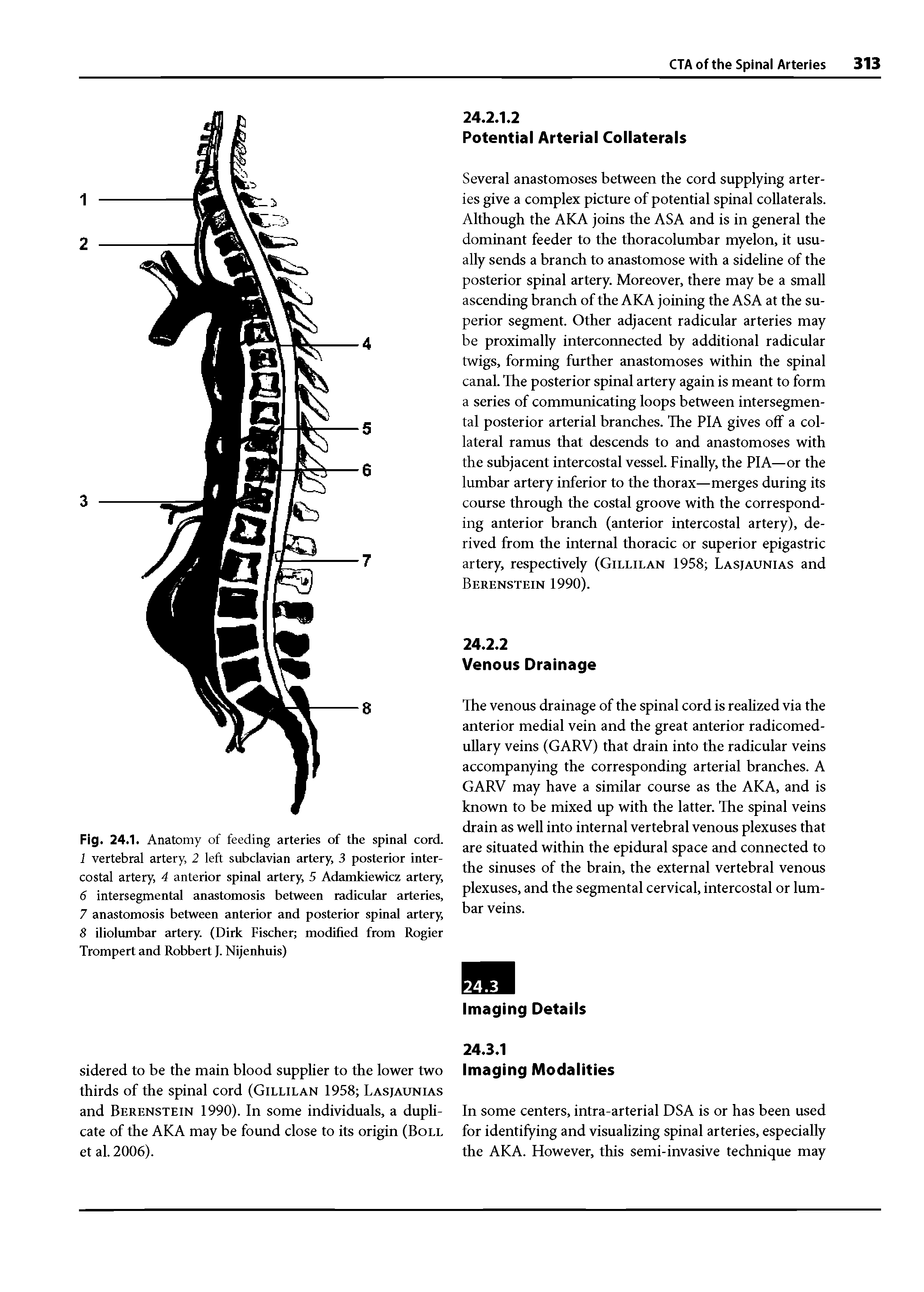 Fig. 24.1. Anatomy of feeding arteries of the spinal cord. 1 vertebral artery, 2 left subclavian artery, 3 posterior intercostal artery, 4 anterior spinal artery, 5 Adamkiewicz artery,...