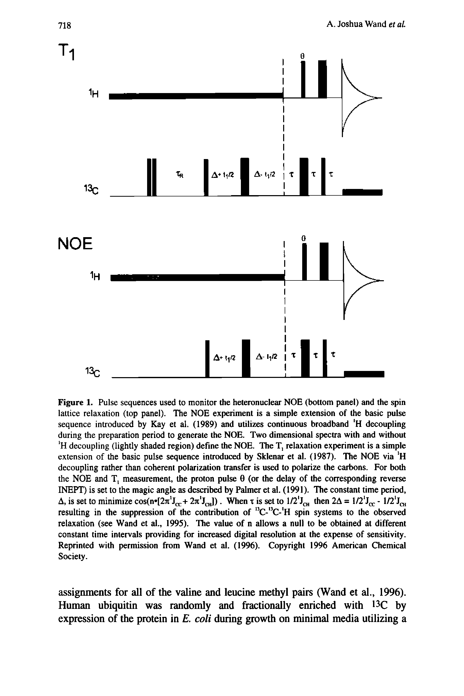 Figure 1. Pulse sequences used to monitor the heteronuclear NOE (bottom panel) and the spin lattice relaxation (top panel). The NOE experiment is a simple extension of the basic pulse sequence introduced by Kay et al. (1989) and utilizes continuous broadband H decoupling during the preparation period to generate the NOE. Two dimensional spectra with and without H decoupling (lightly shaded region) define the NOE. The T, relaxation experiment is a simple extension of the basic pulse sequence introduced by Sklenar et al. (1987). The NOE via H decoupling rather than coherent polarization transfer is used to polarize the carbons. For both the NOE and T, measurement, the proton pulse 0 (or the delay of the corresponding reverse INEPT) is set to the magic angle as described by Palmer et al. (1991). The constant time period, A, is set to minimize cos(n [27i J + 27t Jo,]). When x is set to l/2 Jc then 2A = - 1/2 J( ...