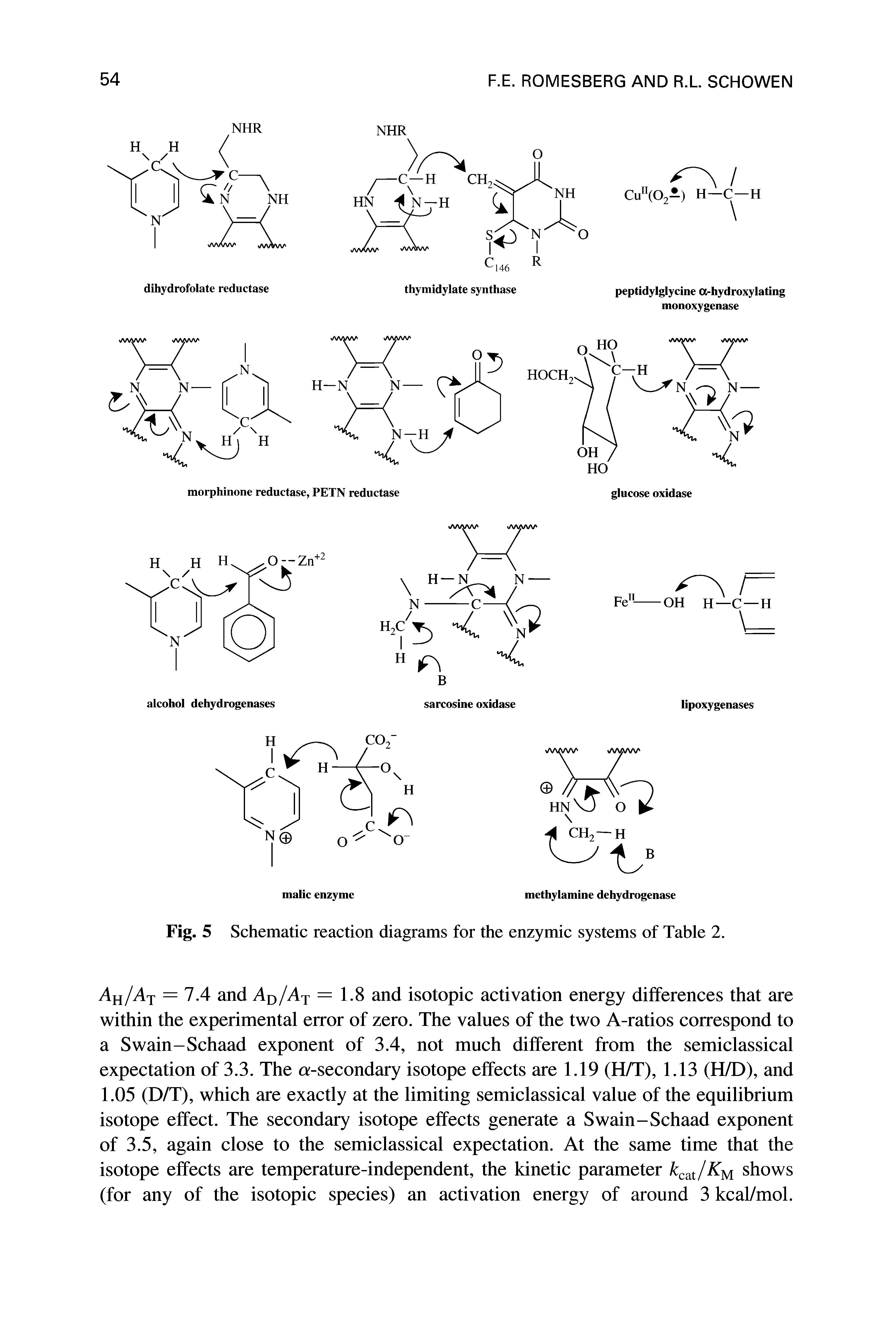 Fig. 5 Schematic reaction diagrams for the enzymic systems of Table 2.