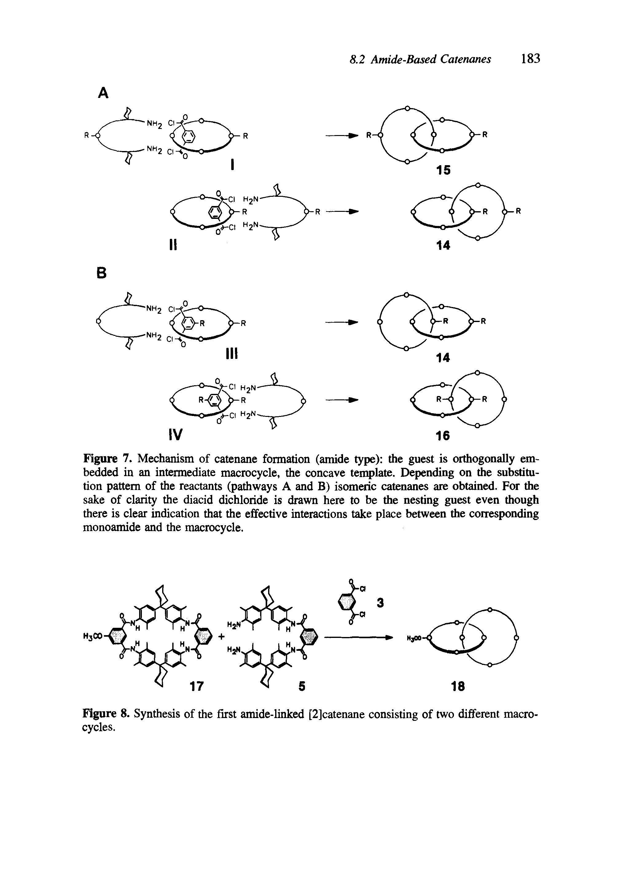 Figure 7. Mechanism of catenane formation (amide type) the guest is orthogonally embedded in an intermediate macrocycle, the concave template. Depending on the substitution pattern of the reactants (pathways A and B) isomeric catenanes are obtained. For the sake of clarity the diacid dichloride is drawn here to be the nesting guest even though there is clear indication that the effective interactions take place between the corresponding monoamide and the macrocycle.