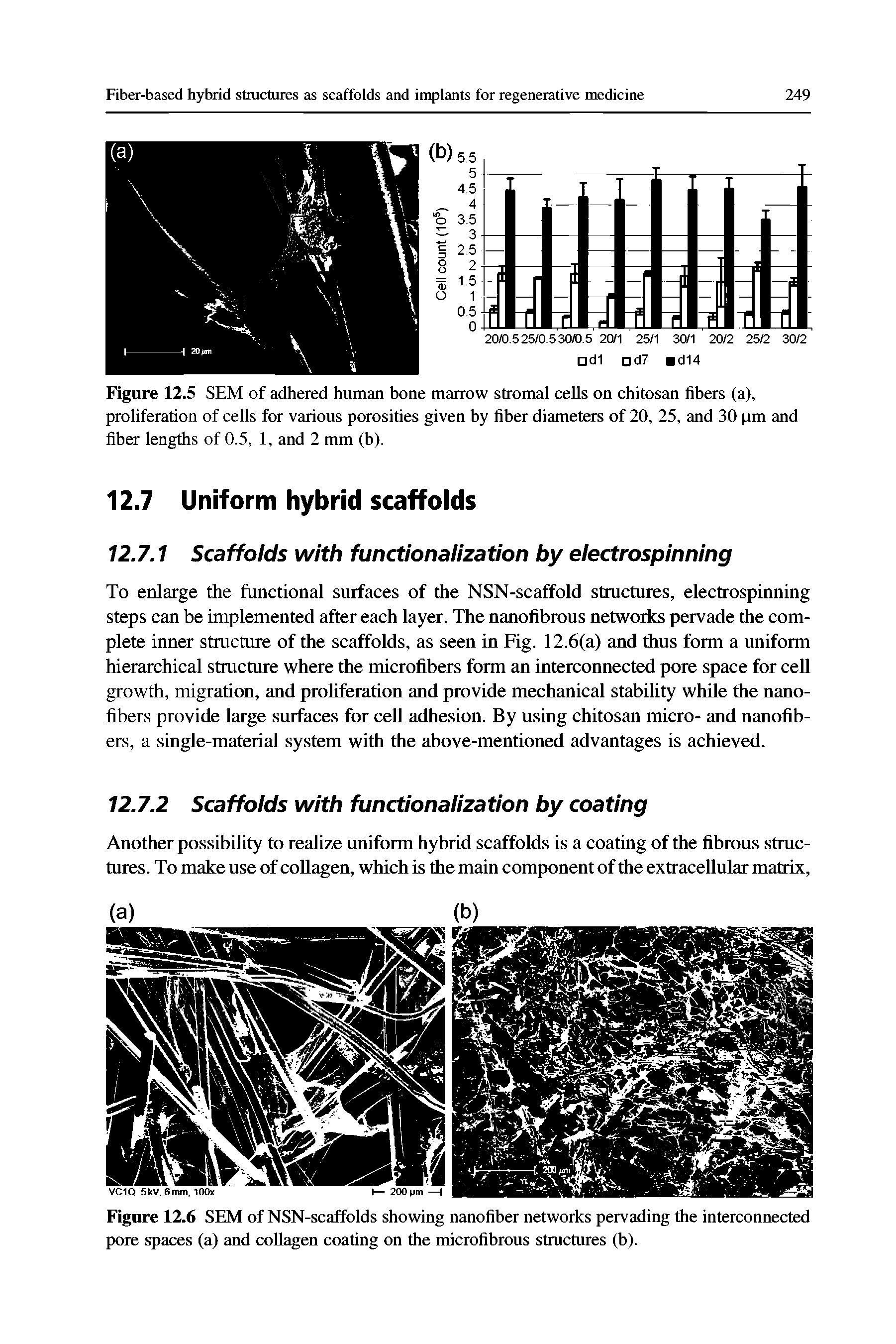 Figure 12.5 SEM of adhered human bone marrow stromal cells on chitosan fibers (a), proliferation of cells for various porosities given by fiber diameters of 20, 25, and 30 pm and...