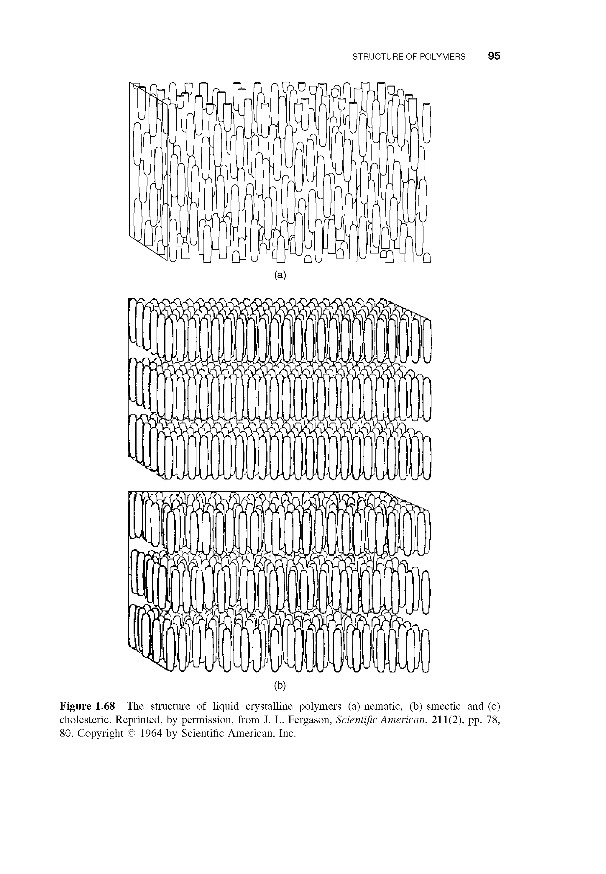 Figure 1.68 The structure of liquid crystalline polymers (a) nematic, (b) smectic and (c) cholesteric. Reprinted, by permission, from J. L. Fergason, Scientific American, 211(2), pp. 78, 80. Copyright 1964 by Scientific American, Inc.