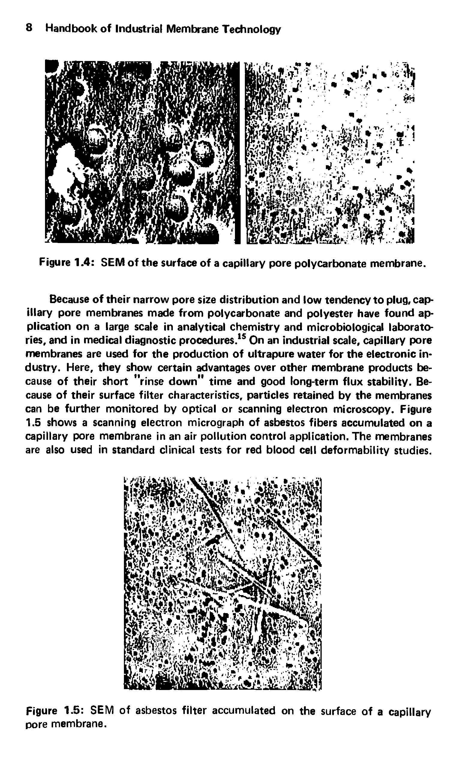 Figure 1.5 SEM of asbestos filter accumulated on the surface of a capillary pore membrane.