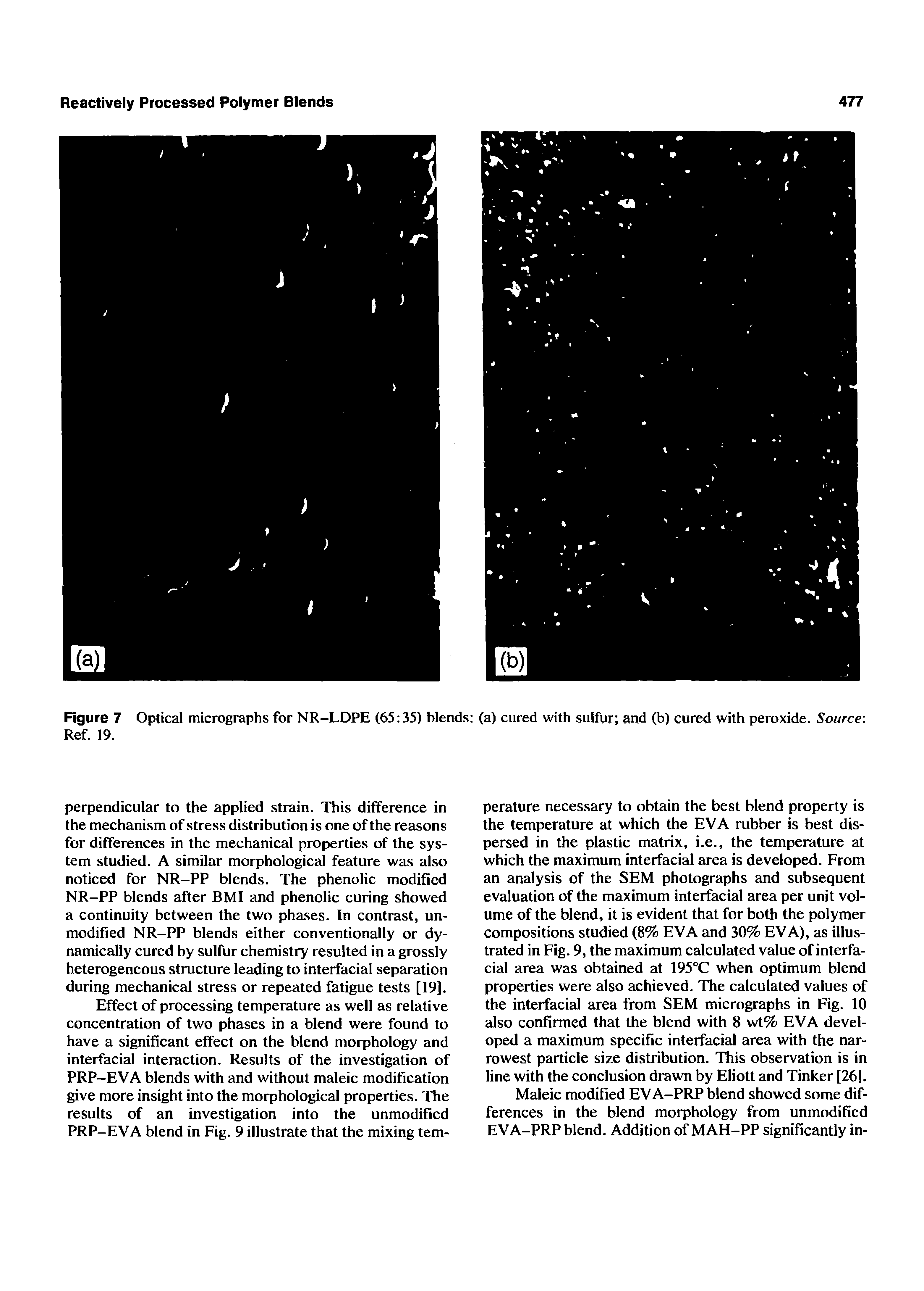 Figure 7 Optical micrographs for NR-LDPE (65 35) blends (a) cured with sulfur and (b) cured with peroxide. Source Ref. 19.