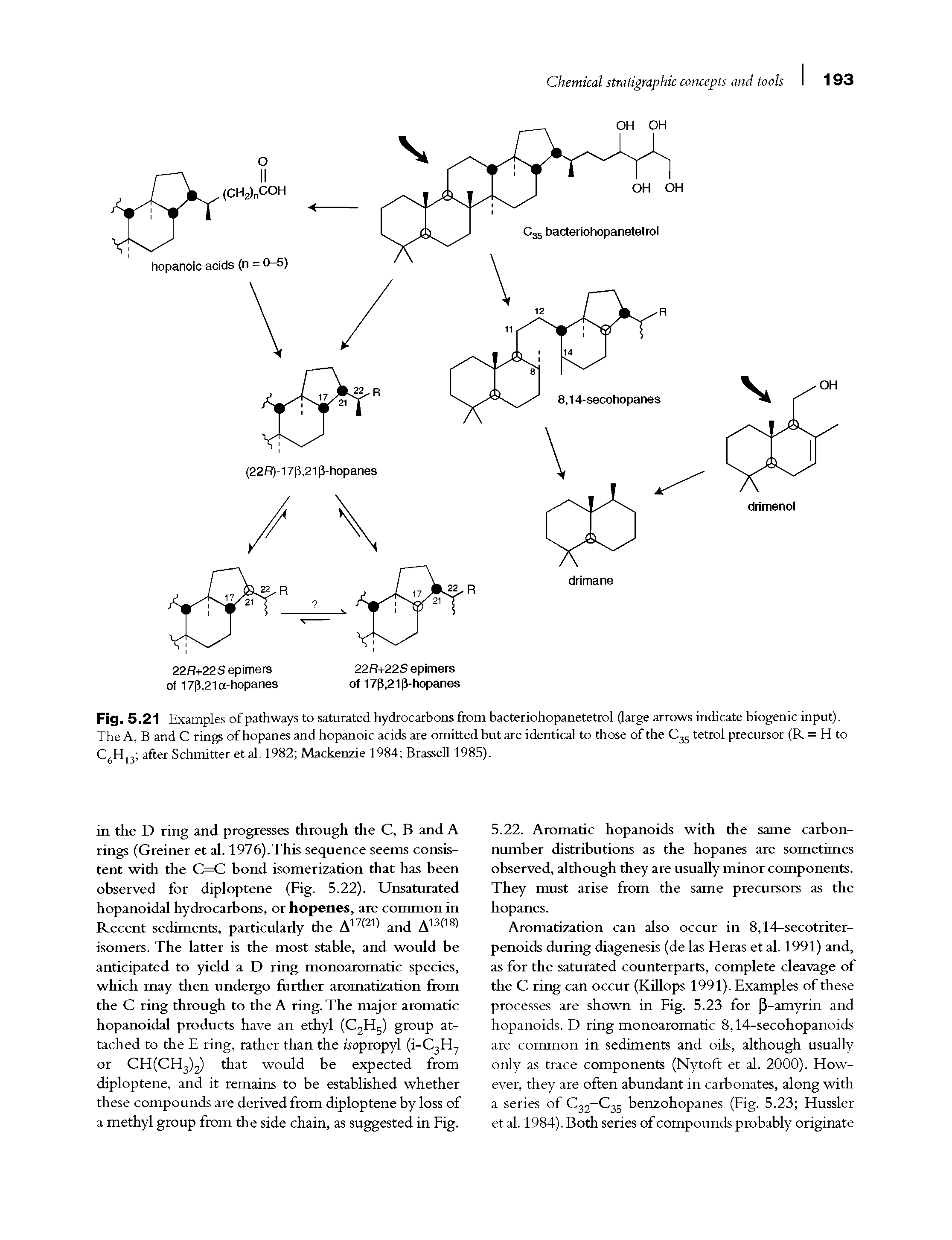 Fig. 5.21 Examples of pathways to saturated hydrocarbons from bacteriohopanetetrol (large arrows indicate biogenic input). The A, B and C rings of hopanes and hopanoic acids are omitted but are identical to those of the C35 tetrol precursor (R = H to C6H13 after Schmitter et al. 1982 Mackenzie 1984 Brassell 1985).
