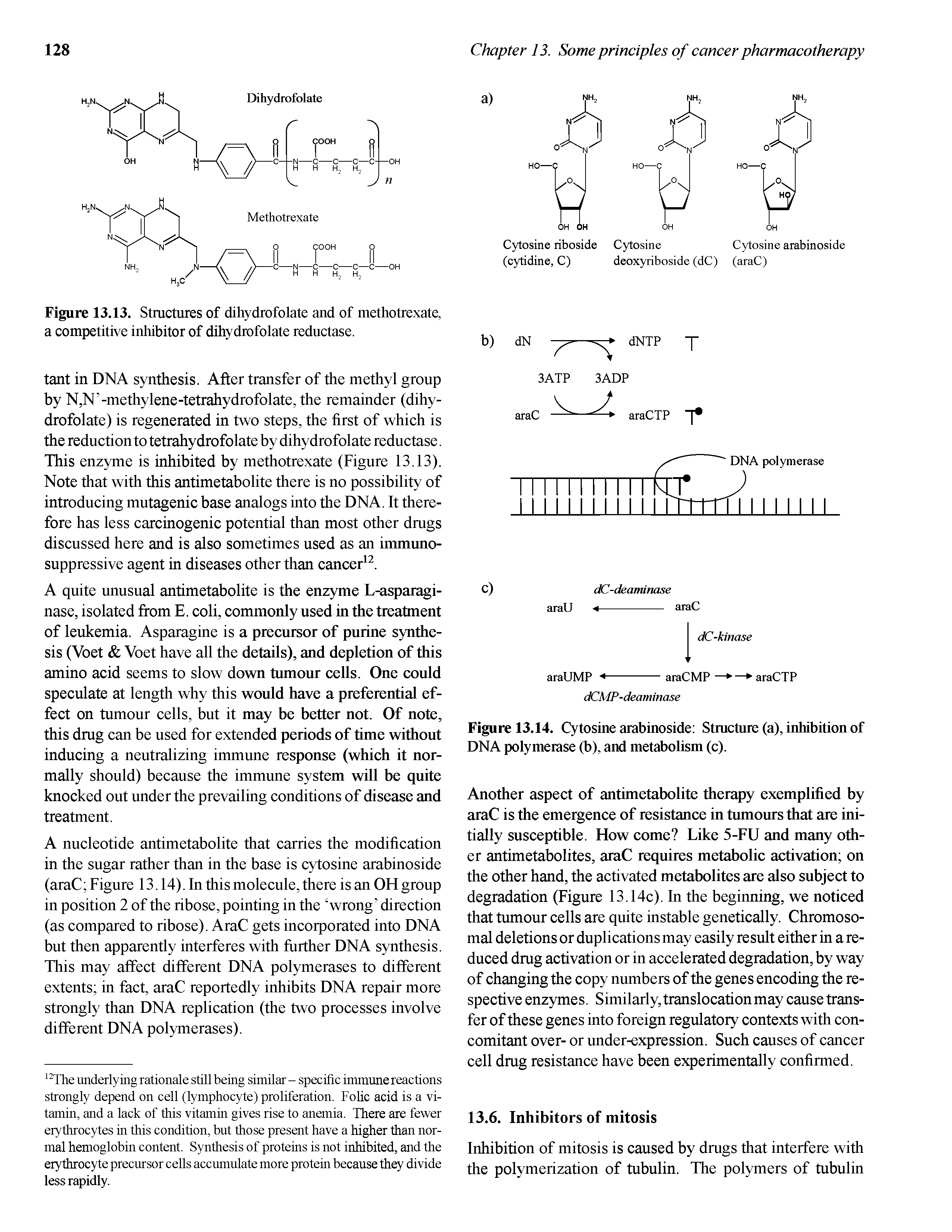 Figure 13.13. Structures of dihydrofolate and of methotrexate, a competitive inhibitor of dihydrofolate reductase.