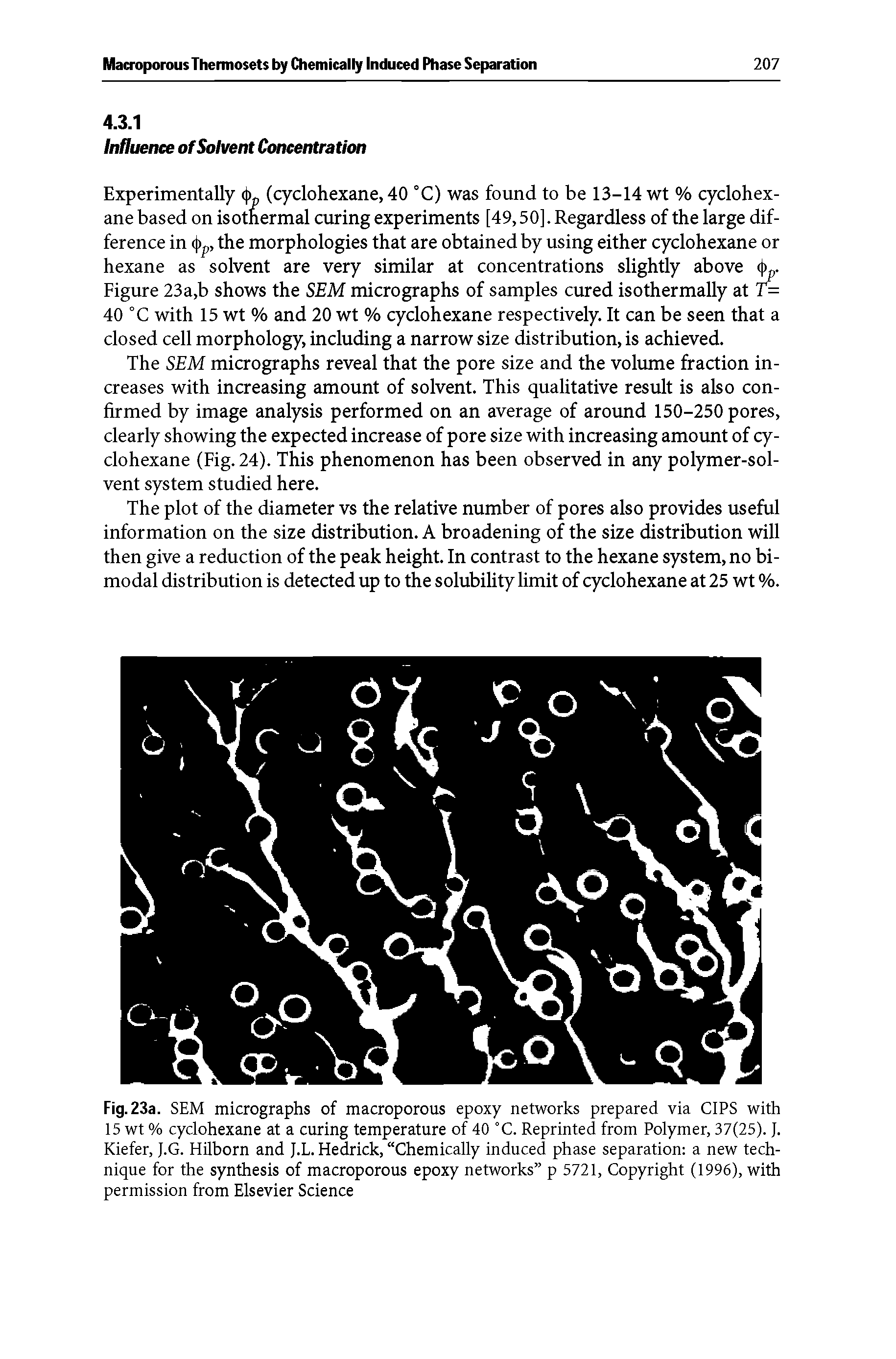 Fig. 23a. SEM micrographs of macroporous epoxy networks prepared via CIPS with 15 wt % cyclohexane at a curing temperature of 40 °C. Reprinted from Polymer, 37(25). J. Kiefer, J.G. HUborn and J.L. Hedrick, Chemically induced phase separation a new technique for the synthesis of macroporous epoxy networks p 5721, Copyright (1996), with permission from Elsevier Science...