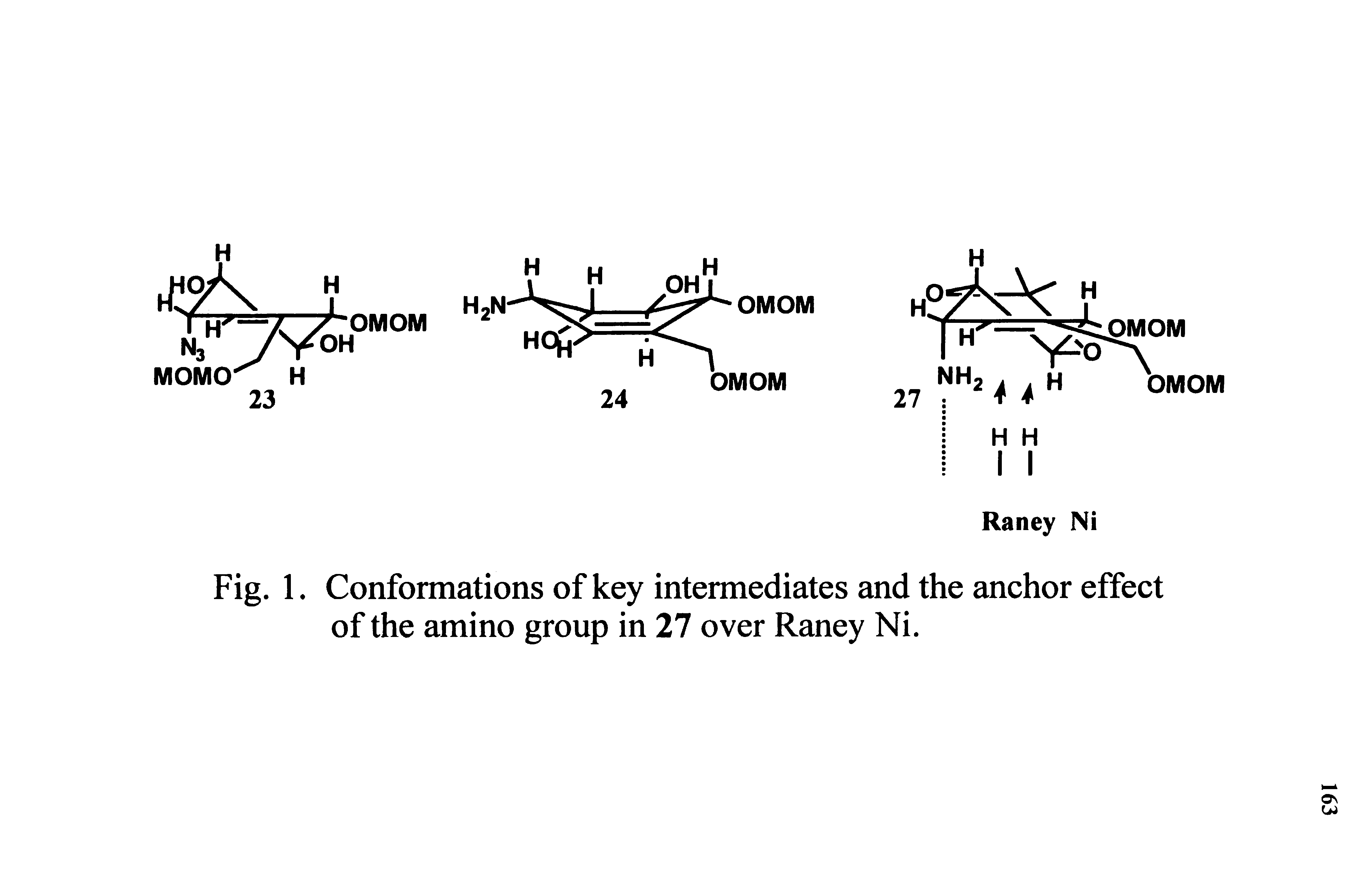Fig. 1. Conformations of key intermediates and the anchor effect of the amino group in 27 over Raney Ni.
