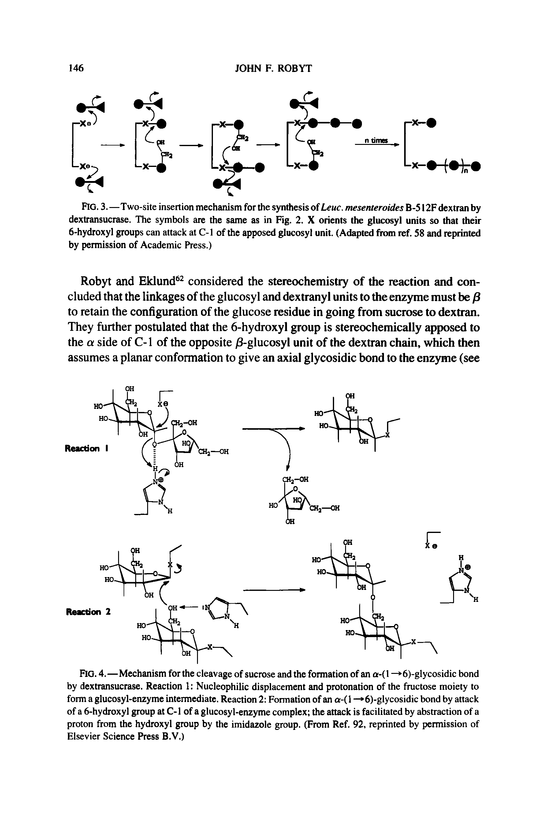Fig. 4.—Mechanism for the cleavage of sucrose and the formation of an a-(l — 6)-glycosidic bond by dextransucrase. Reaction 1 Nucleophilic displacement and protonation of the fructose moiety to form a glucosyl-enzyme intermediate. Reaction 2 Formation of an a-( 1 — 6)-glycosidic bond by attack of a 6-hydroxyl group at C-l of a glucosyl-enzyme complex the attack is facilitated by abstraction of a proton from the hydroxyl group by the imidazole group. (From Ref. 92, reprinted by permission of Elsevier Science Press B.V.)...