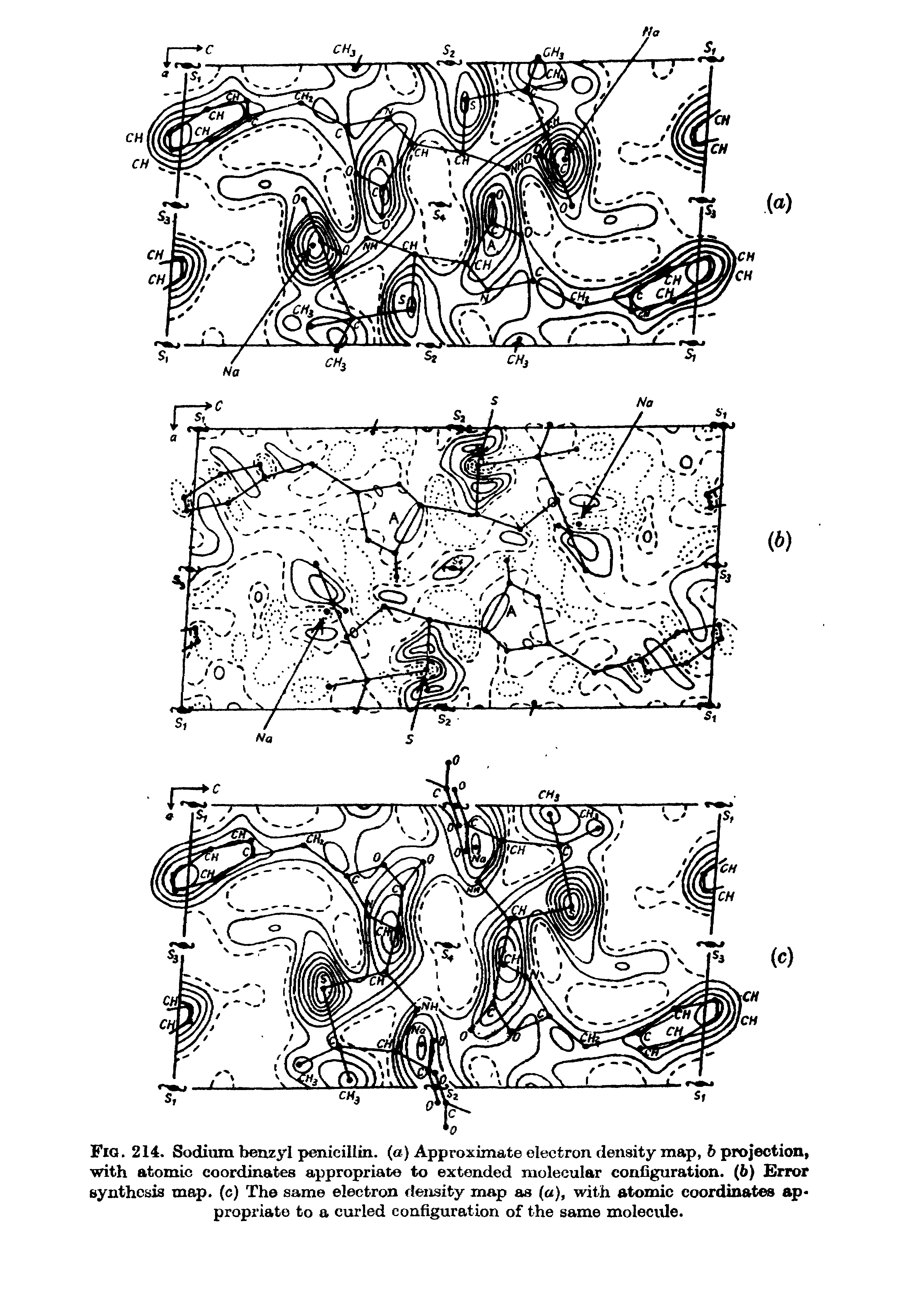Fig. 214. Sodium benzyl penicillin, (a) Approximate electron density map, b projection, with atomic coordinates appropriate to extended molecular configuration. (6) Error synthesis map. (c) The same electron density map as (a), with atomic coordinates appropriate to a curled configuration of the same molecule.