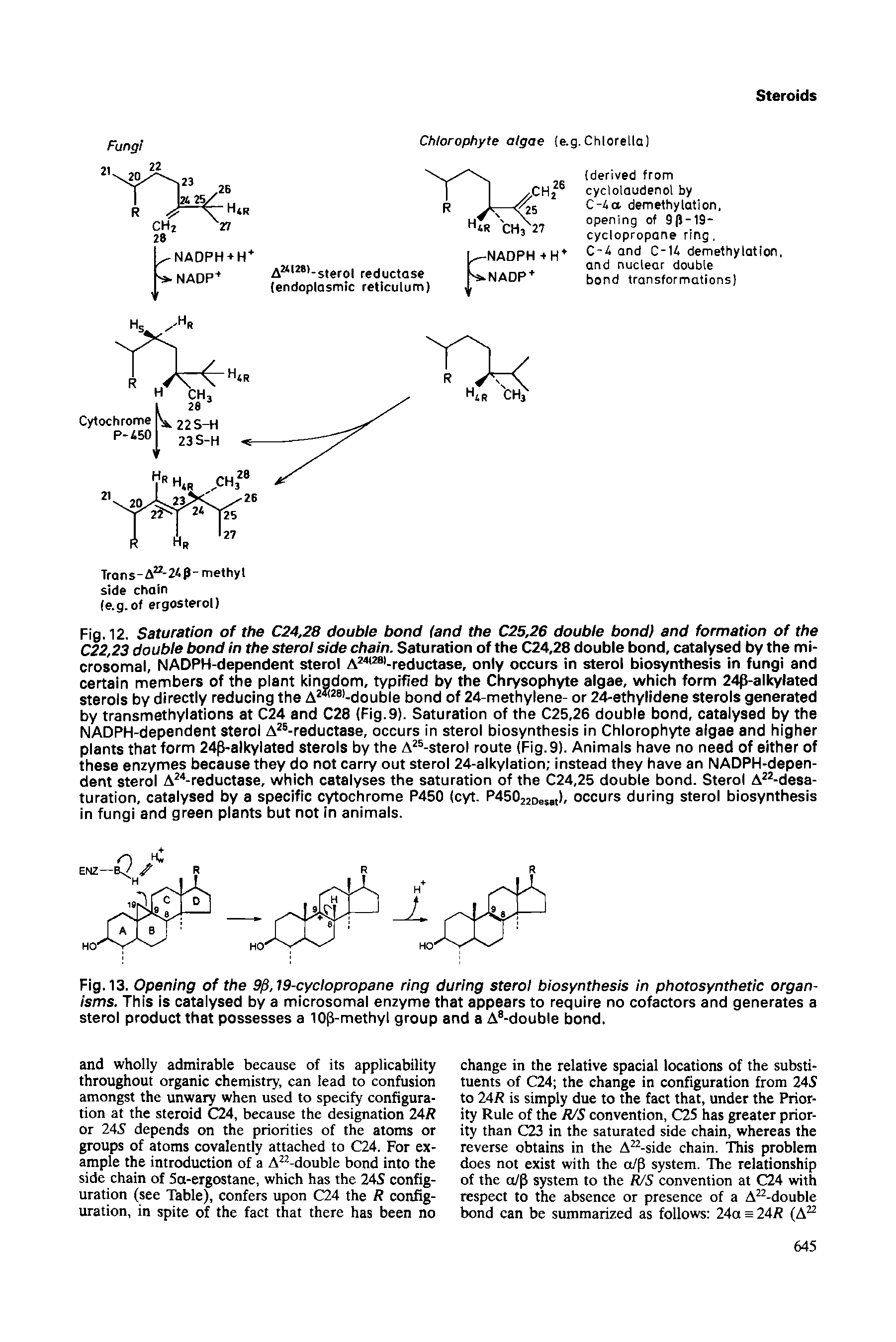 Fig. 13. Opening of the 19-cyclopropane ring during sterol biosynthesis in photosynthetic organisms. This is catalysed by a microsomal enzyme that appears to require no cofactors and generates a sterol product that possesses a lOp-methyl group and a A -double bond.