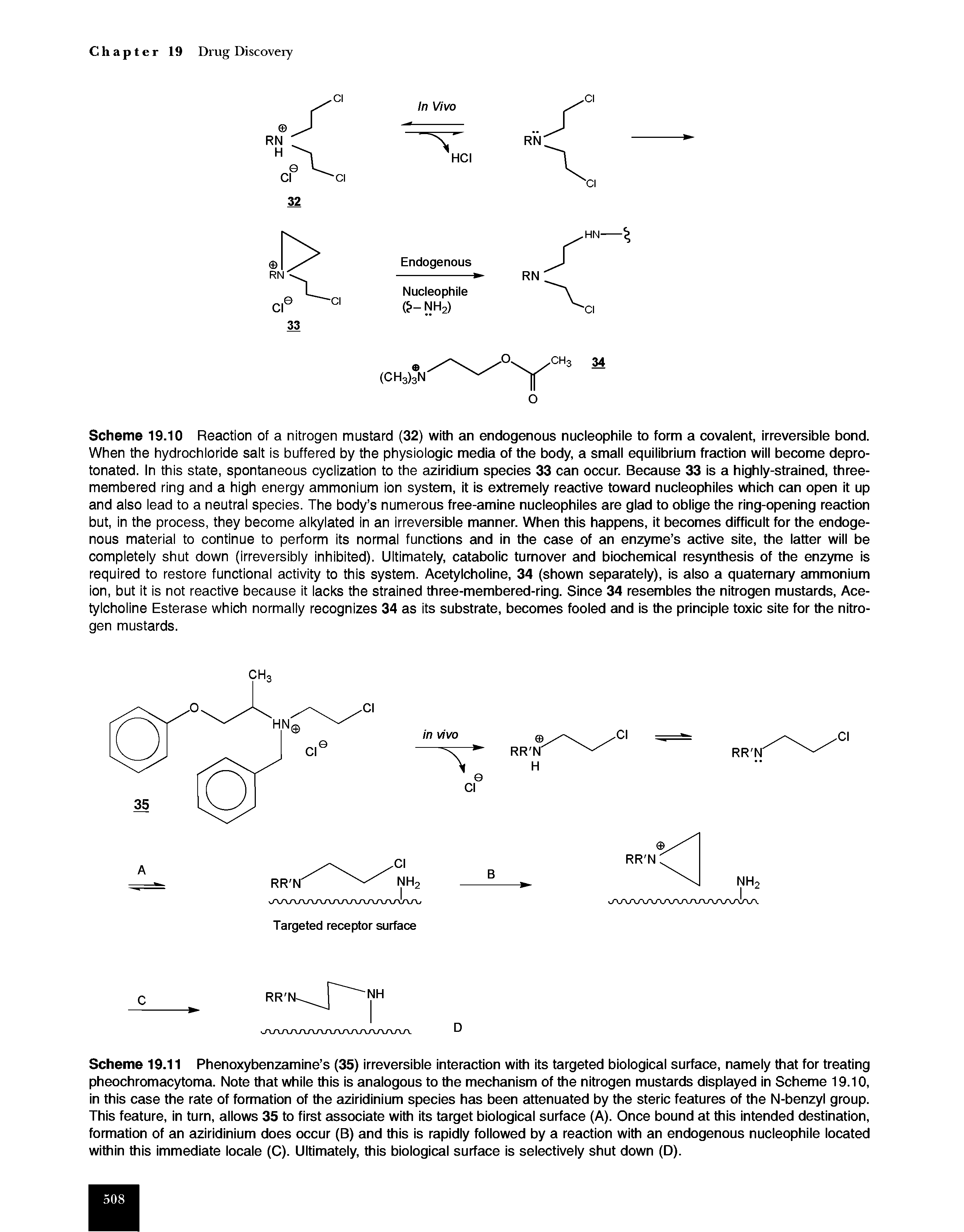 Scheme 19.11 Phenoxybenzamine s (35) irreversible interaction with its targeted biological surface, namely that for treating pheochromacytoma. Note that while this is analogous to the mechanism of the nitrogen mustards displayed in Scheme 19.10, in this case the rate of formation of the aziridinium species has been attenuated by the steric features of the N-benzyl group. This feature, in turn, allows 35 to first associate with its target biological surface (A). Once bound at this intended destination, formation of an aziridinium does occur (B) and this is rapidly followed by a reaction with an endogenous nucleophile located within this immediate locale (C). Ultimately, this biological surface is selectively shut down (D).