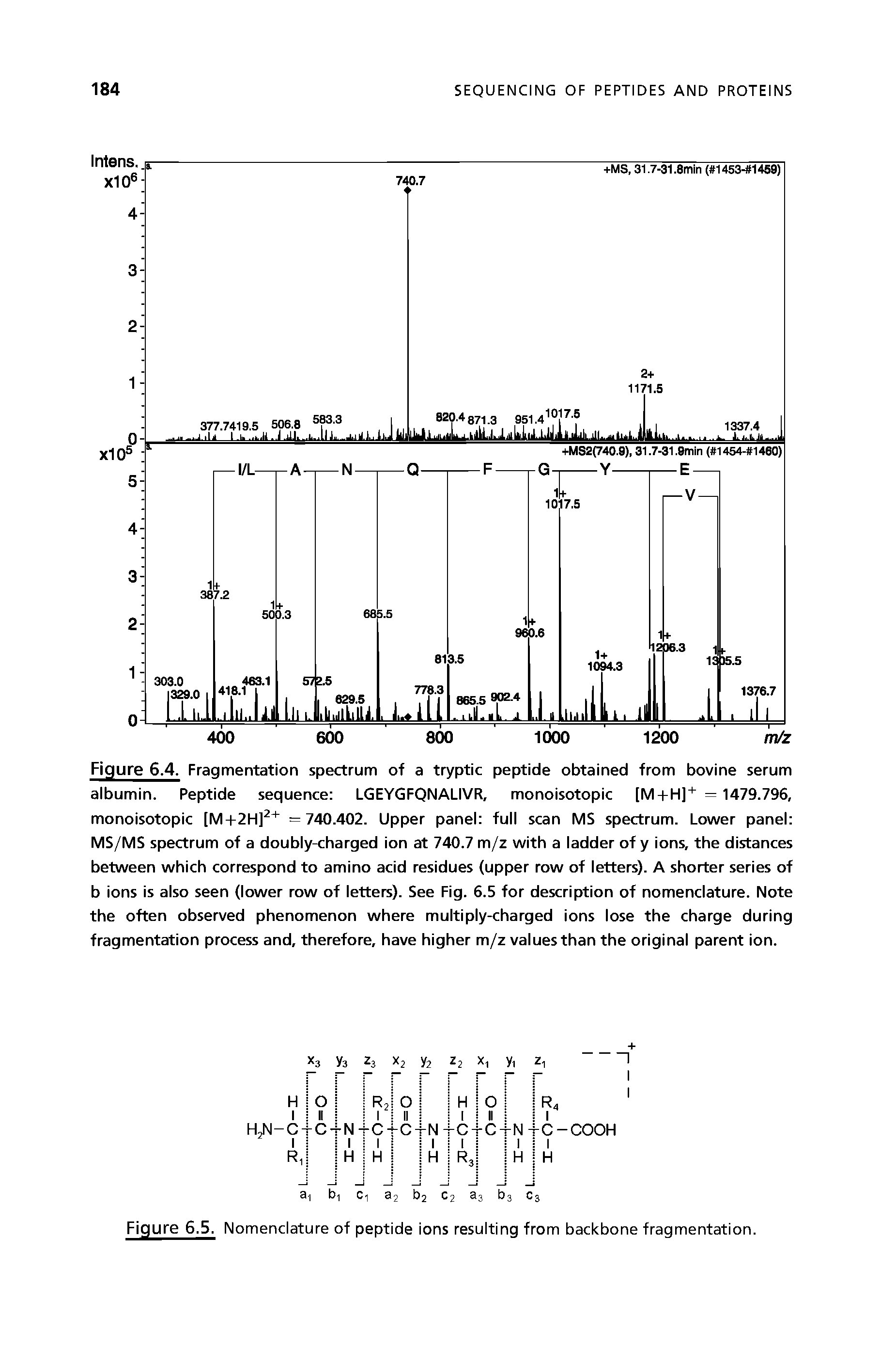 Figure 6.4. Fragmentation spectrum of a tryptic peptide obtained from bovine serum albumin. Peptide sequence LGEYGFQNALIVR, monoisotopic [M + H]+ = 1479.796, monoisotopic [M+2H]2+ =740.402. Upper panel full scan MS spectrum. Lower panel MS/MS spectrum of a doubly-charged ion at 740.7 m/z with a ladder of y ions, the distances between which correspond to amino acid residues (upper row of letters). A shorter series of b ions is also seen (lower row of letters). See Fig. 6.5 for description of nomenclature. Note the often observed phenomenon where multiply-charged ions lose the charge during fragmentation process and, therefore, have higher m/z values than the original parent ion.
