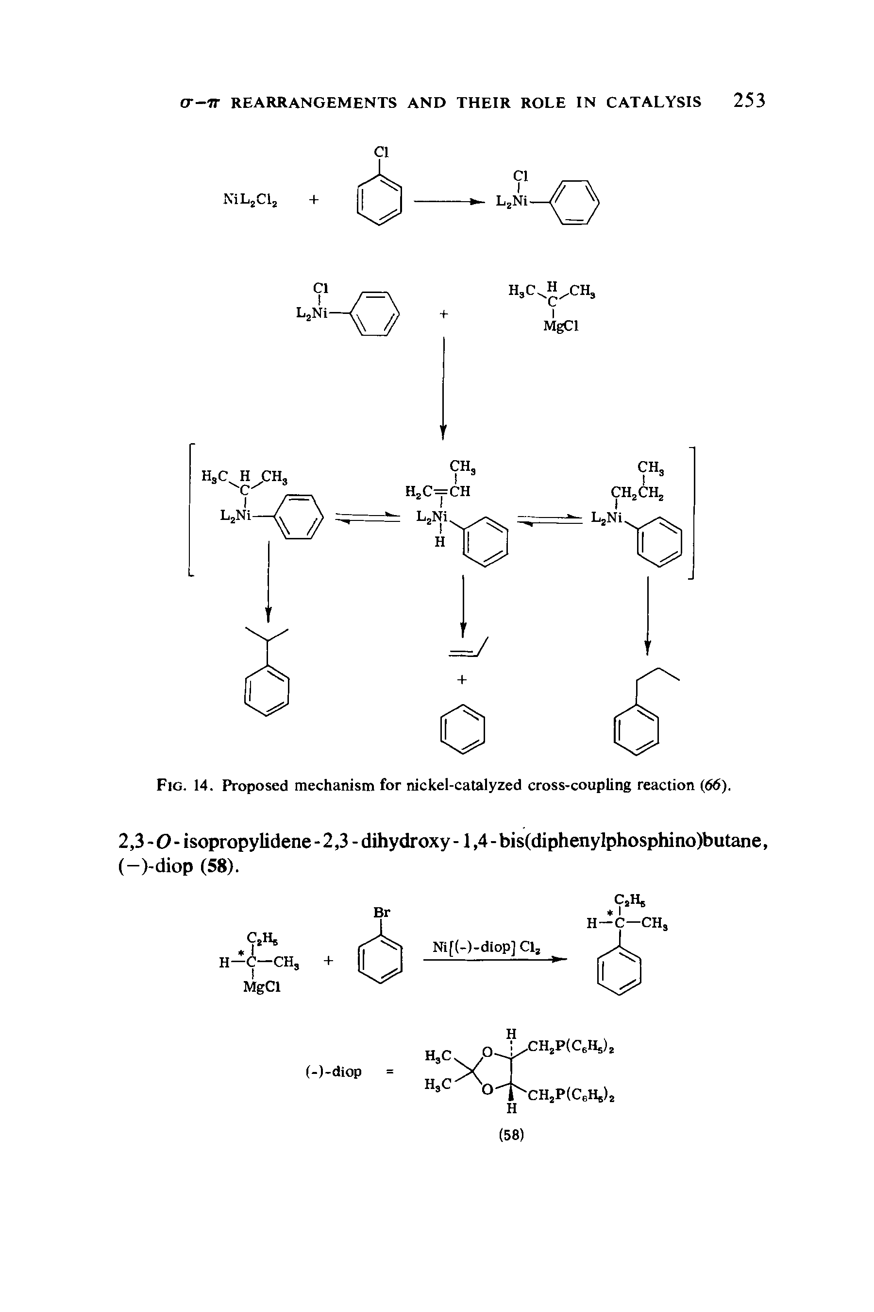Fig. 14. Proposed mechanism for nickel-catalyzed cross-coupling reaction 66).