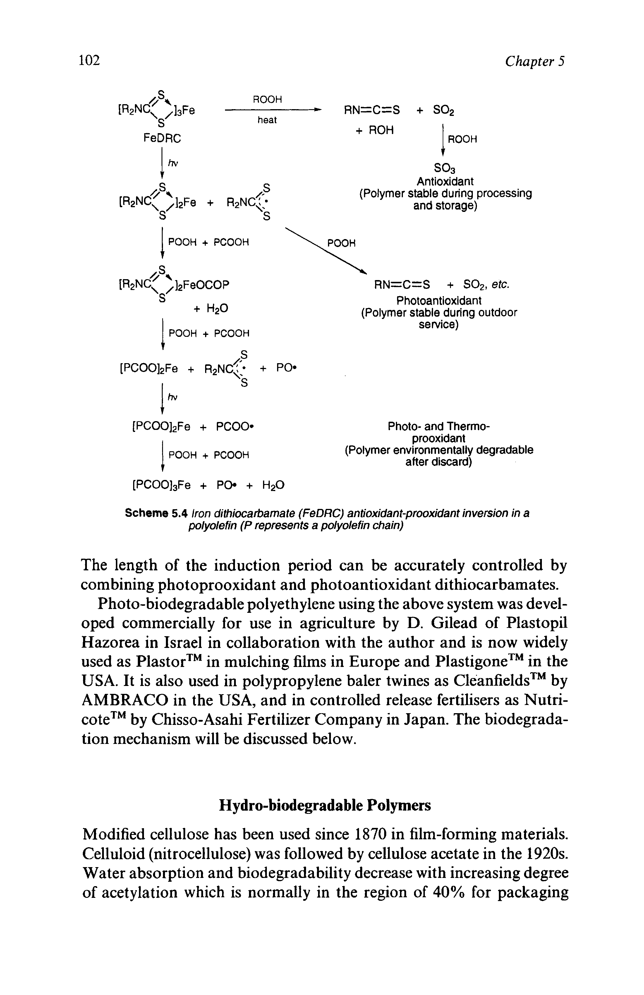 Scheme 5.4 Iron dithiocarbamate (FeDRC) antioxidant-prooxidant inversion in a polyolefin (P represents a polyolefin chain)...