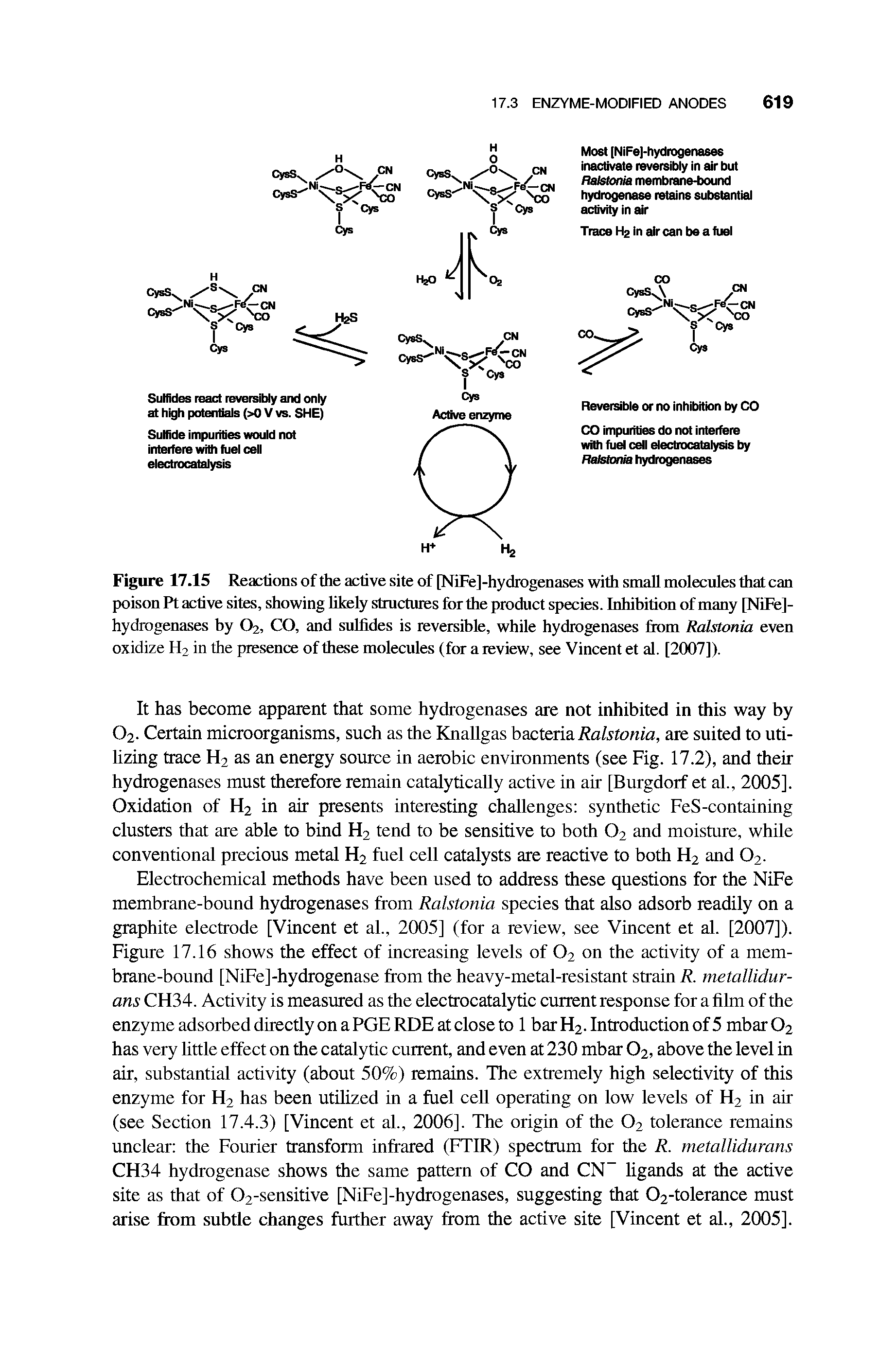 Figure 17.15 Reactions of the active site of [NiFe]-hydrogenases with small molecules that can poison Pt active sites, showing likely structures for the product species. Inhihition of many [NiFe]-hydrogenases hy O2, CO, and sulhdes is reversible, while hydrogenases from Ralstonia even oxidize H2 in the presence of these molecules (for a review, see Vincent et al. [2(X)7]).