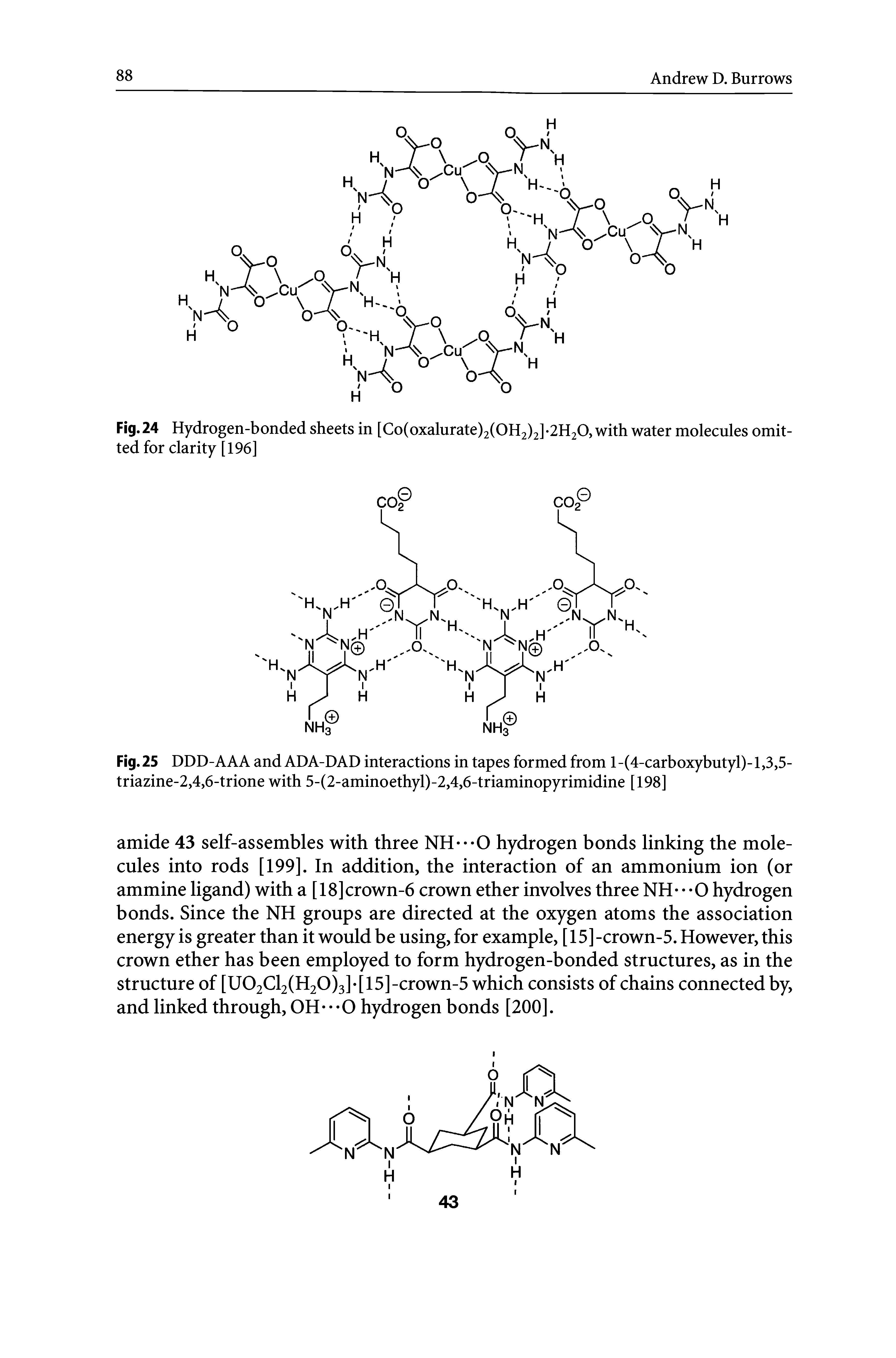 Fig. 25 DDD-AAA and ADA-DAD interactions in tapes formed from 1-(4-carboxybutyl)-1,3,5-triazine-2,4,6-trione with 5-(2-aminoethyl)-2,4,6-triaminopyrimidine [198]...