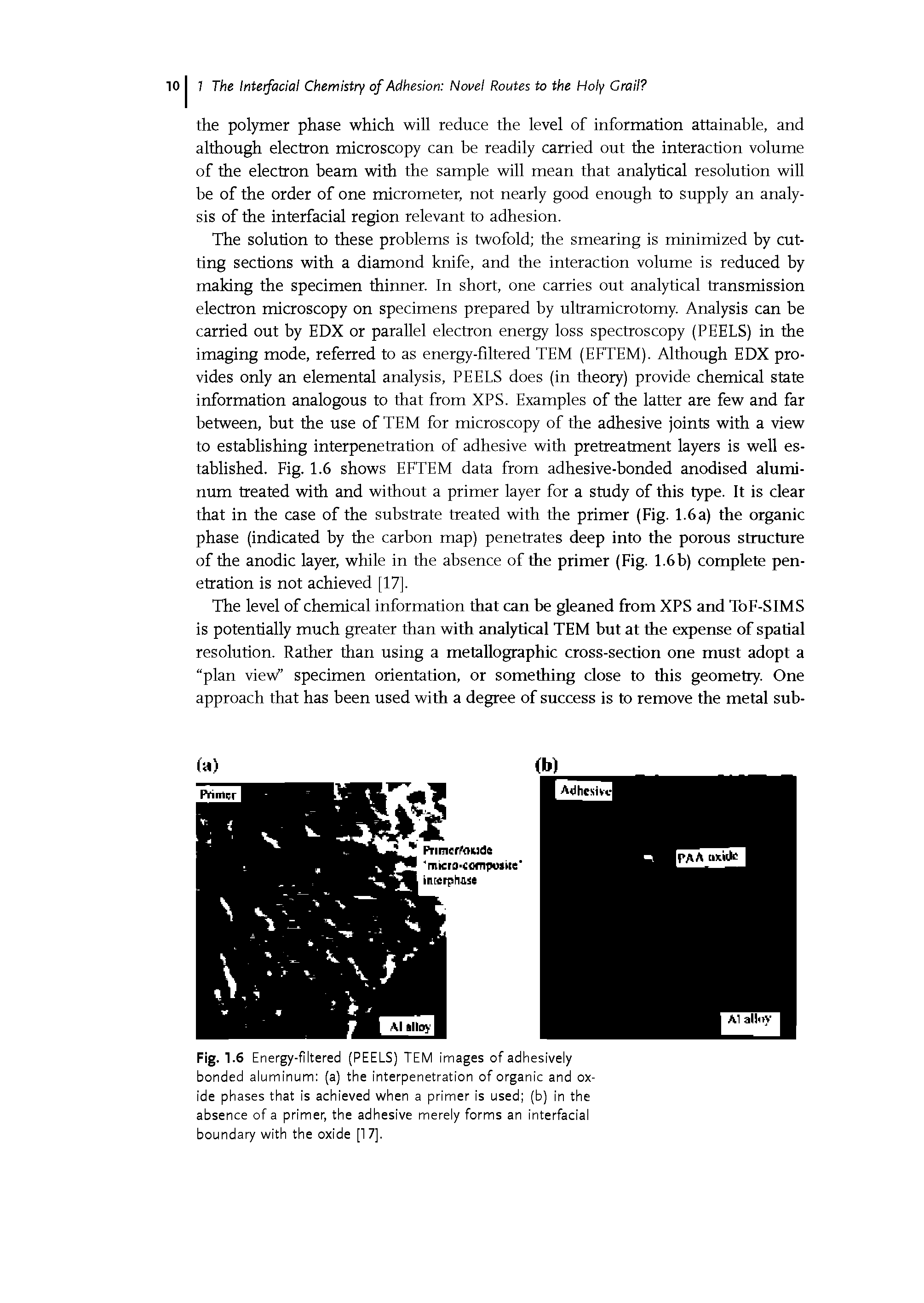 Fig. 1.6 E nergy-filtered (PEELS) TEM images of adhesively bonded aluminum (a) the interpenetration of organic and oxide phases that is achieved when a primer is used (b) in the absence of a primer, the adhesive merely forms an interfaclal boundary with the oxide [1 7].