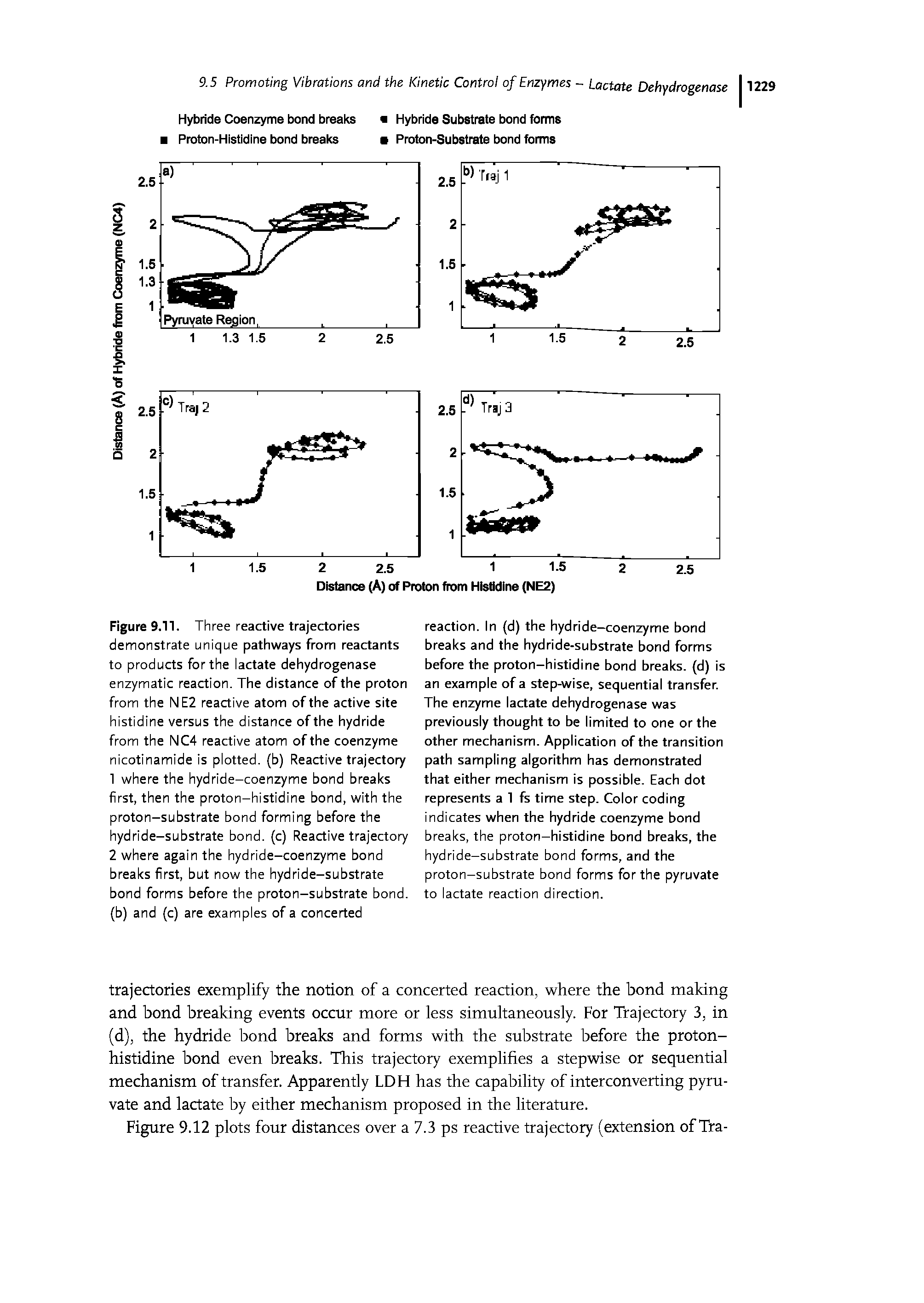 Figure 9.11. Three reactive trajectories demonstrate unique pathways from reactants to products for the lactate dehydrogenase enzymatic reaction. The distance of the proton from the NE2 reactive atom of the active site histidine versus the distance of the hydride from the NC4 reactive atom of the coenzyme nicotinamide is plotted, (b) Reactive trajectory...