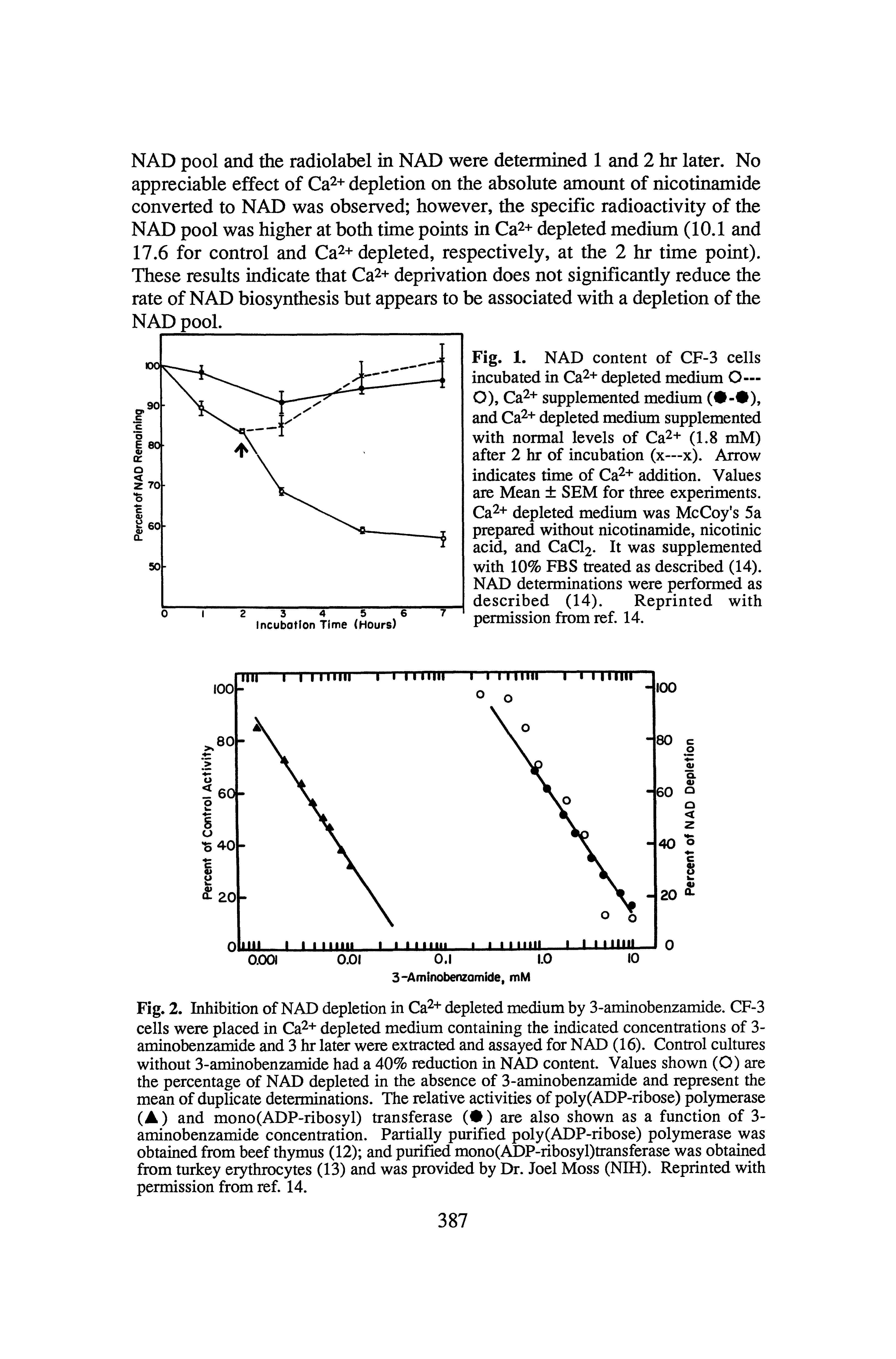 Fig. 2. Inhibition of NAD depletion in Ca + depleted medium by 3-aminobenzamide. CF-3 cells were placed in Ca + depleted medium containing the indicated concentrations of 3-aminobenzamide and 3 hr later were extracted and assayed for NAD (16). Control cultures without 3-aminobenzamide had a 40% reduction in NAD content. Values shown (O) are the percentage of NAD depleted in the absence of 3-aminobenzamide and represent the mean of duplicate determinations. The relative activities of poly(ADP-ribose) polymerase (A) and mono(ADP-ribosyl) transferase ( ) are also shown as a function of 3-aminobenzamide concentration. Partially purified poly(ADP-ribose) polymerase was obtained from beef thymus (12) and purified mono(ADP-ribosyl)transferase was obtained from turkey erythrocytes (13) and was provided by Dr. Joel Moss (NIH). Reprinted with permission from ref. 14.
