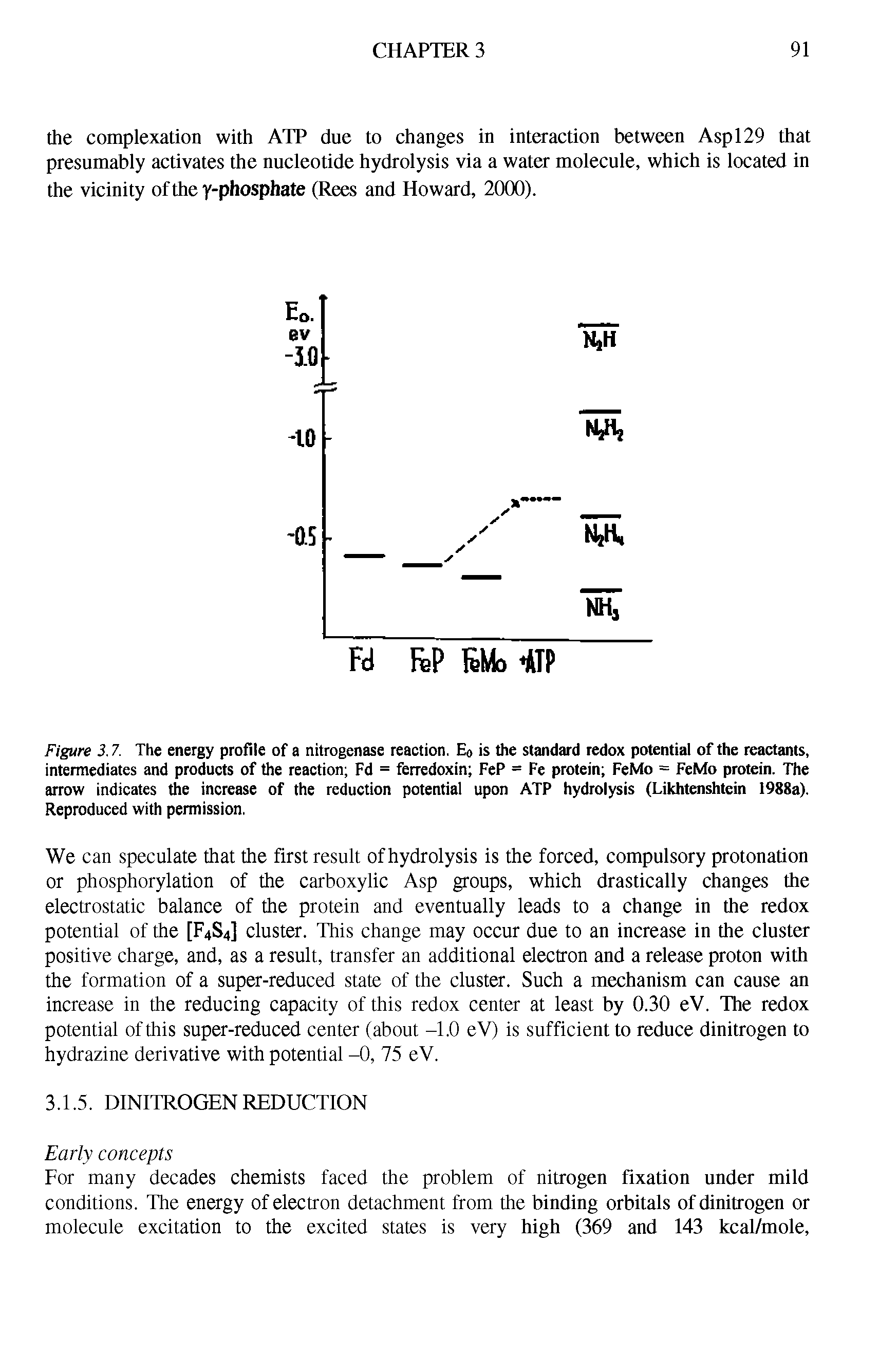 Figure 3.7. The energy profile of a nitrogenase reaction. Eo is the standard redox potential of the reactants, intermediates and products of the reaction Fd = ferredoxin FeP = Fe protein FeMo = FeMo protein. The arrow indicates the increase of the reduction potential upon ATP hydrolysis (Likhtenshtein 1988a). Reproduced with permission.
