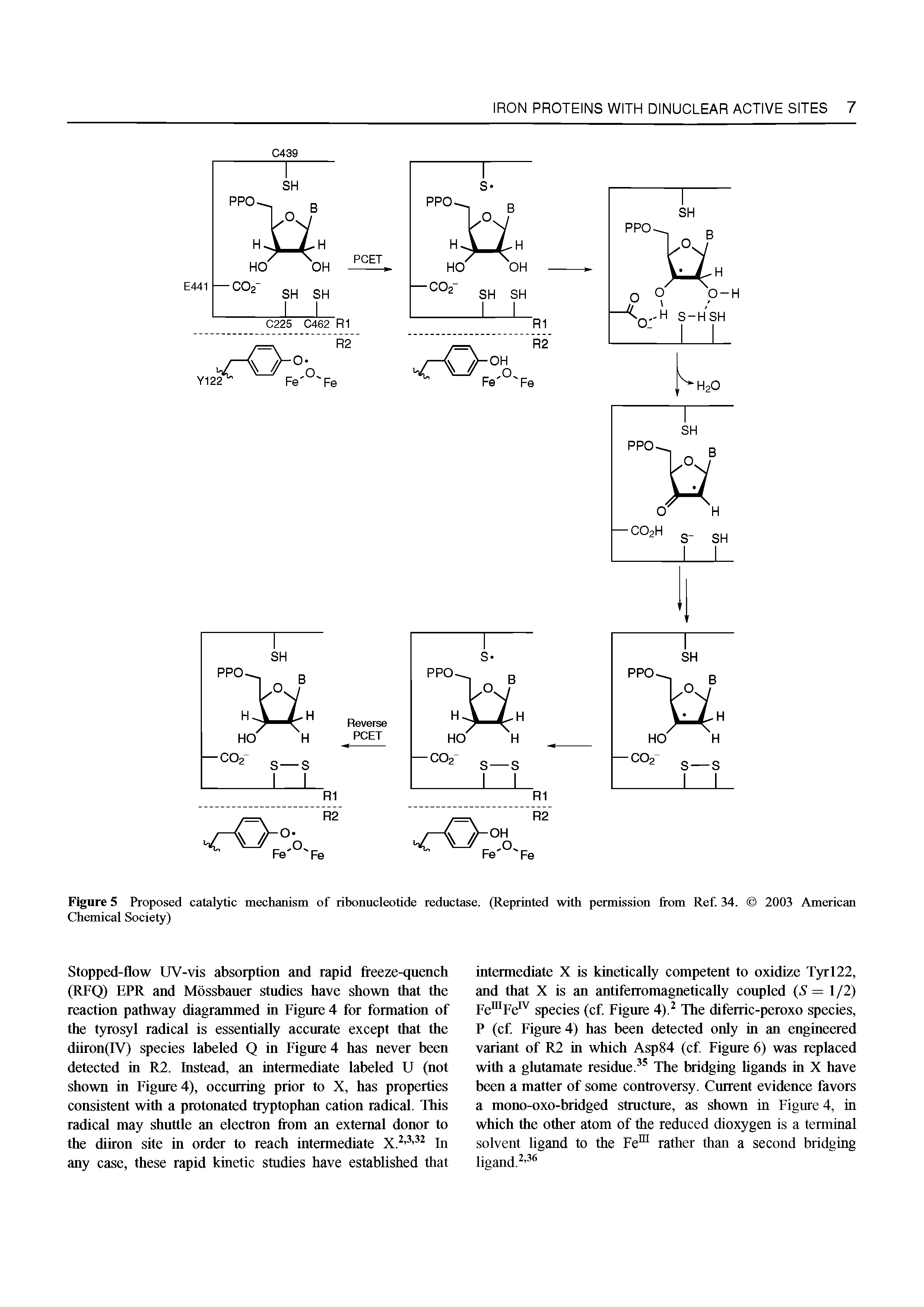 Figure 5 Proposed catal)dic mechanism of ribonucleotide reductase. (Reprinted with permission from Ref. 34. Chemical Society)...