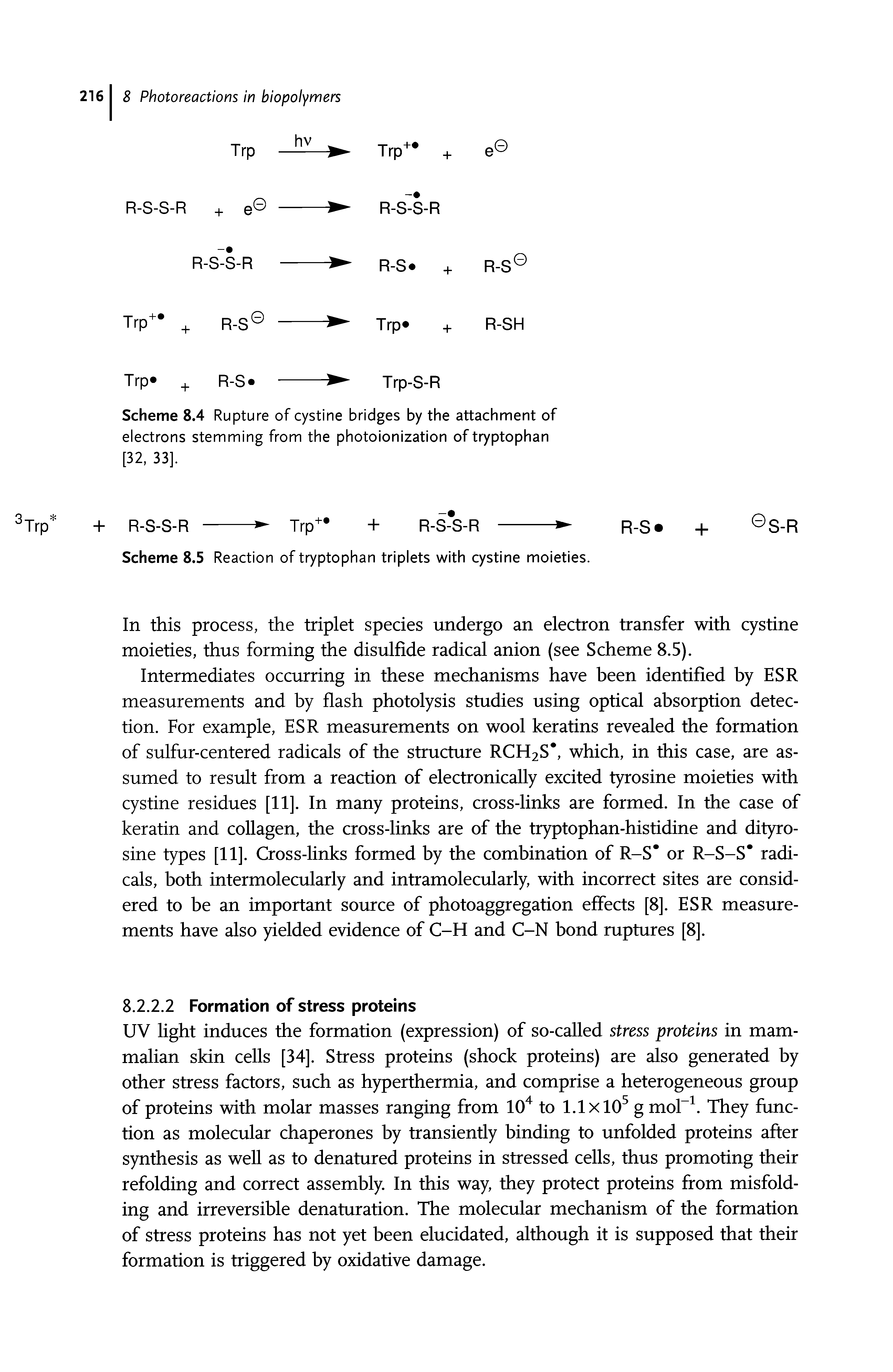 Scheme 8.4 Rupture of cystine bridges by the attachment of electrons stemming from the photoionization of tryptophan [32, 33].