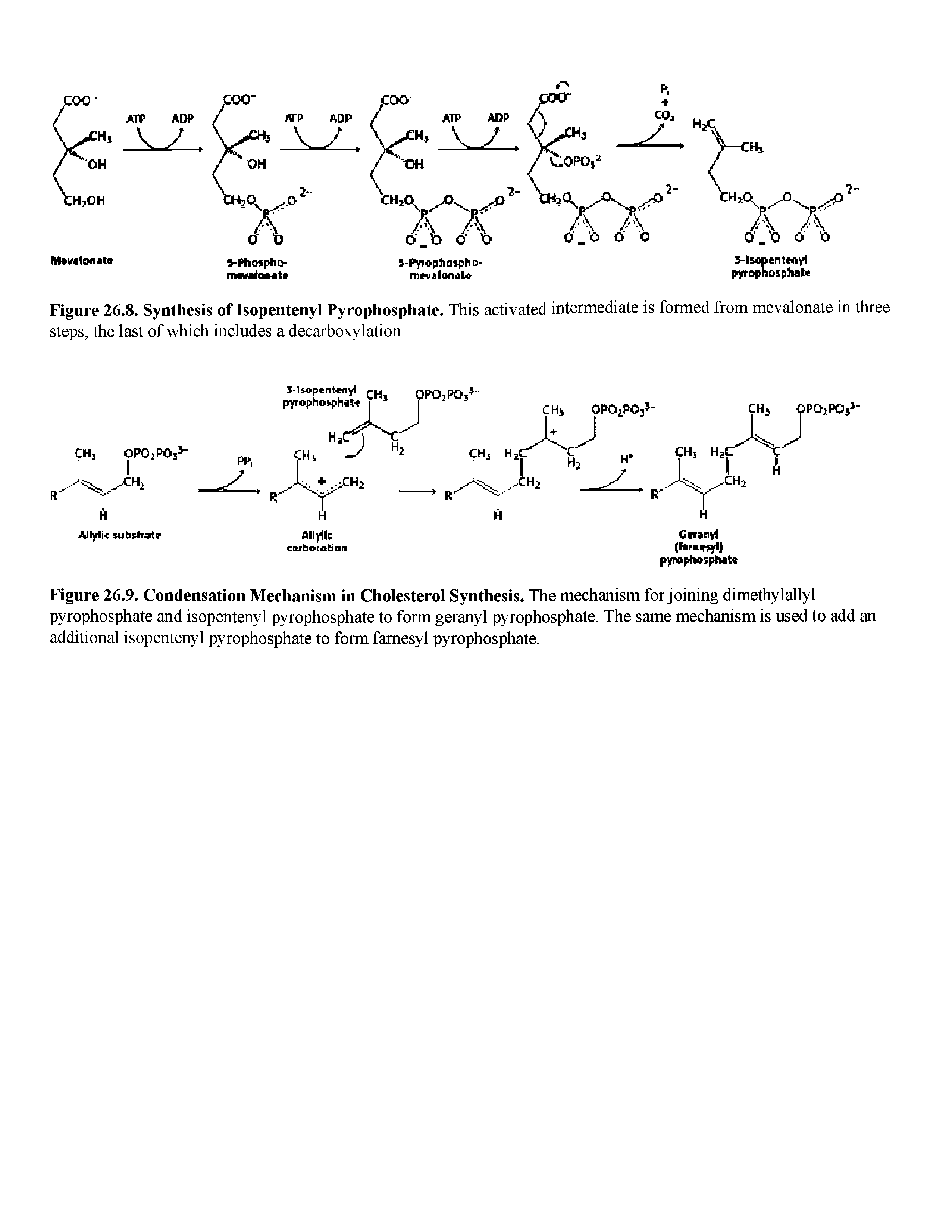 Figure 26.8. Synthesis of Isopentenyl Pyrophosphate. This activated intermediate is formed from mevalonate in three steps, the last of which includes a decarboxylation.