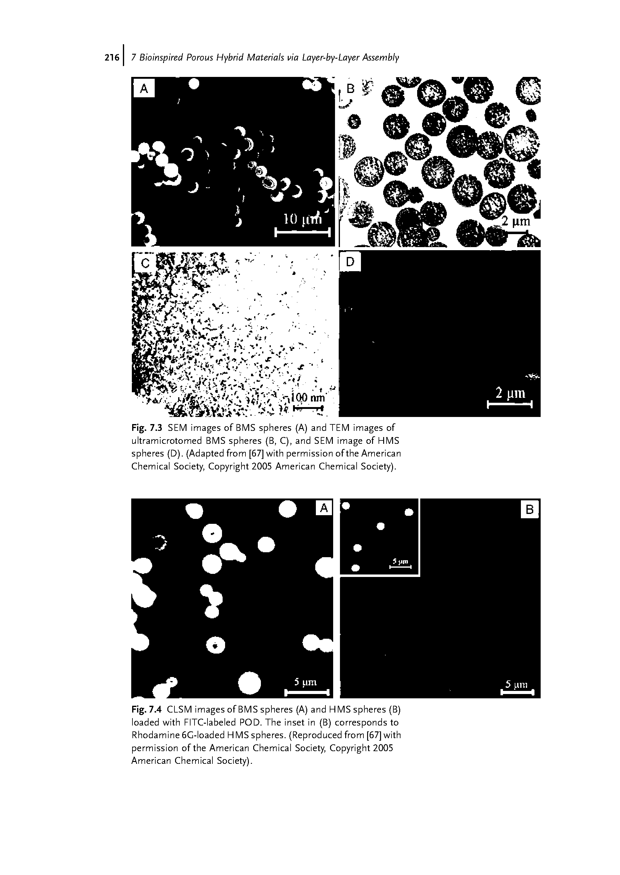 Fig. 7.4 CLSM images of BMS spheres (A) and HMS spheres (B) loaded with FITC-labeled POD. The inset in (B) corresponds to Rhodamine 6G-loaded H MS spheres. (Reproduced from [67] with permission ofthe American Chemical Society, Copyright 2005 American Chemical Society).