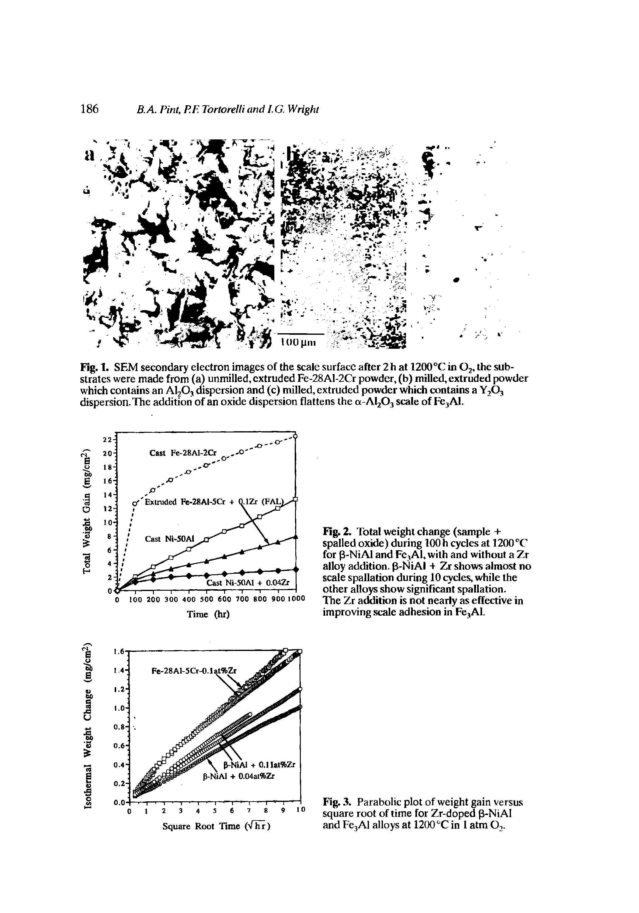 Fig. 2. Total weight change (sample + spalled oxide) during lOOh cycles at 1200°C for p-NiAl and Fe3Al, with and without a Zr alloy addition. p-NiAl + Zr shows almost no scale spallation during 10 cycles, while the other alloys show significant spallation.