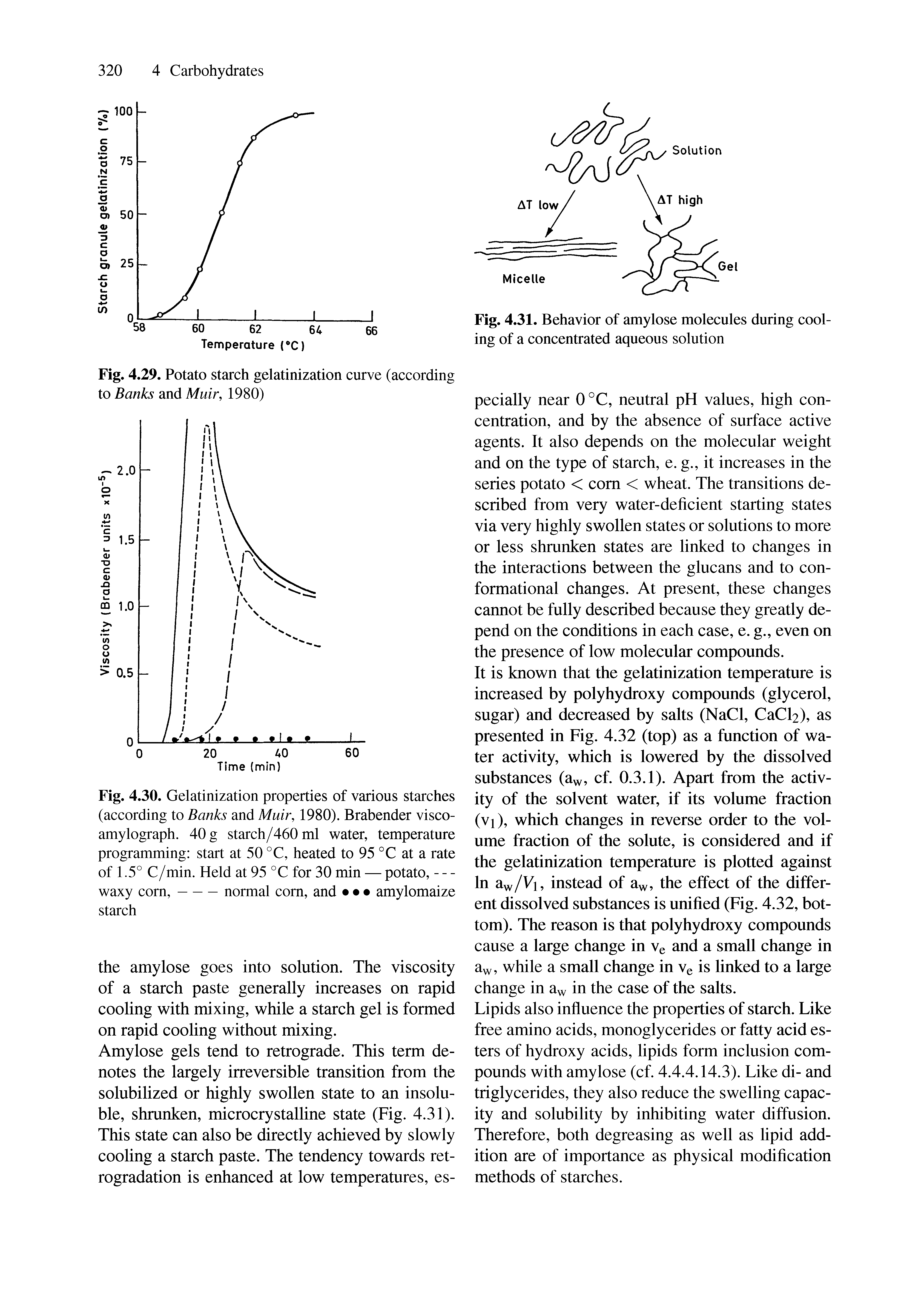 Fig. 4.29. Potato starch gelatinization curve (according to Banks and Muir, 1980)...