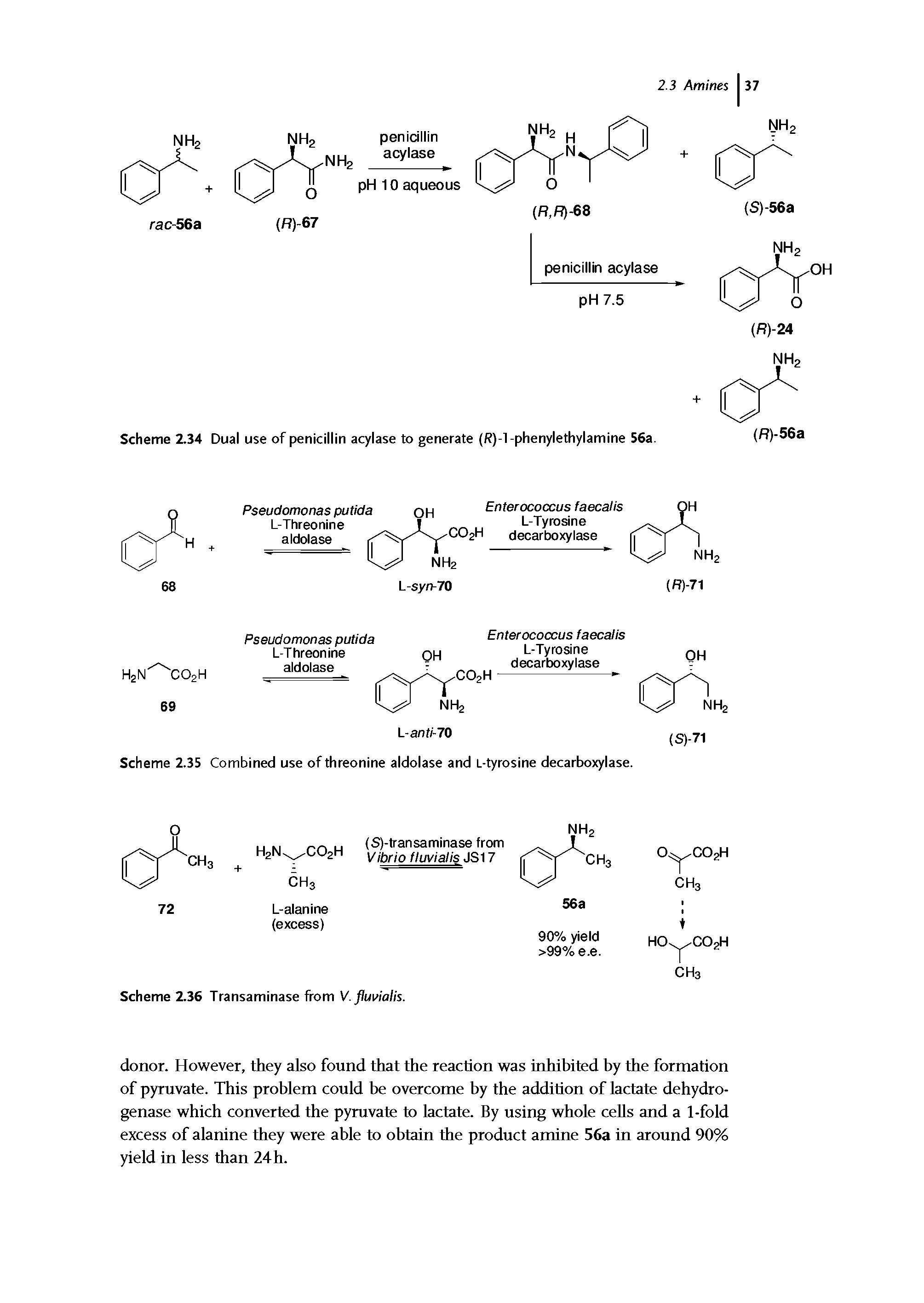 Scheme 2.34 Dual use of penicillin acylase to generate (R)-l -phenylethylamine 56a.