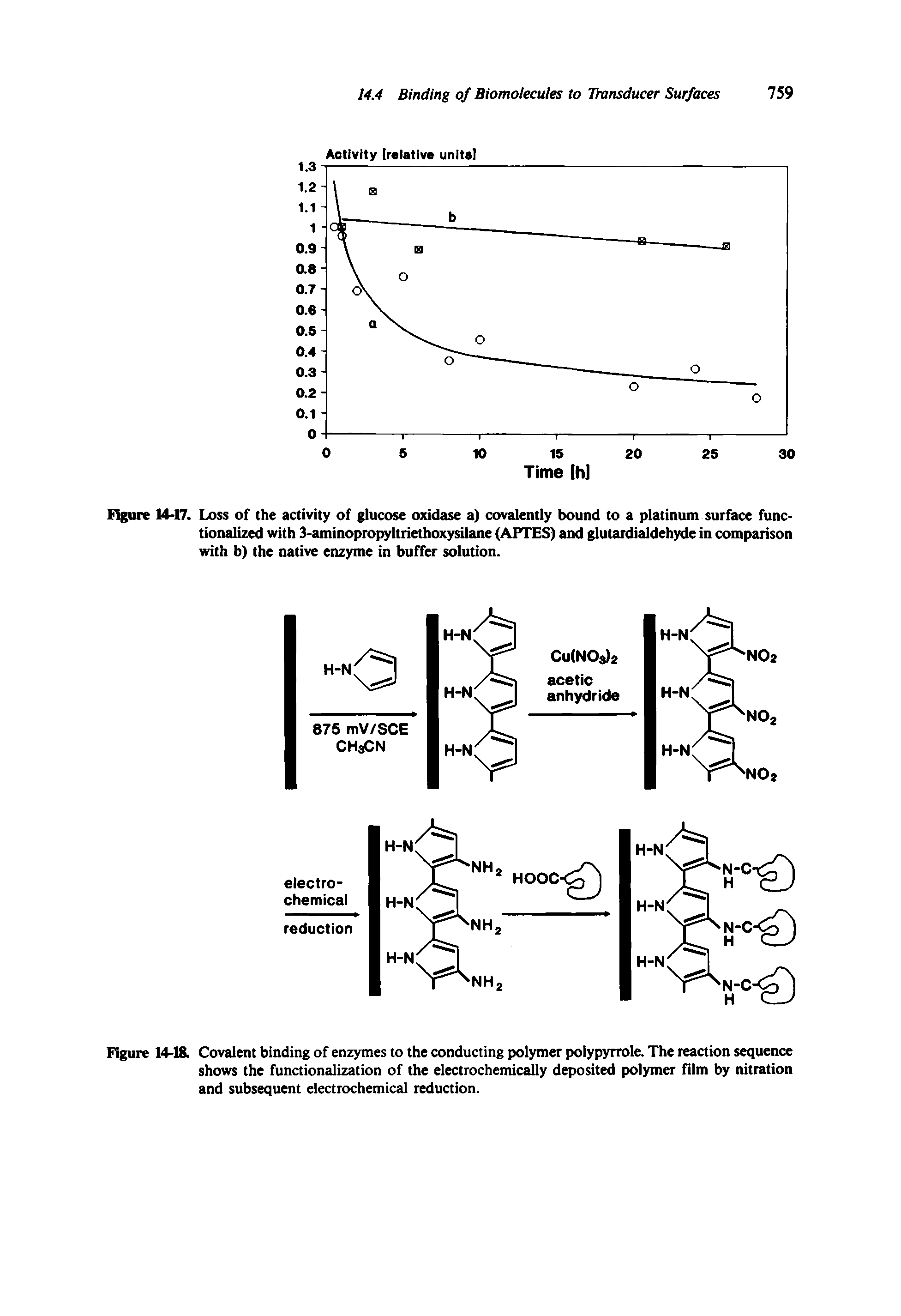 Figure 14-18. Covalent binding of enzymes to the conducting polymer polypyrrole. The reaction sequence shows the functionalization of the electrochemically deposited polymer film by nitration and subsequent electrochemical reduction.