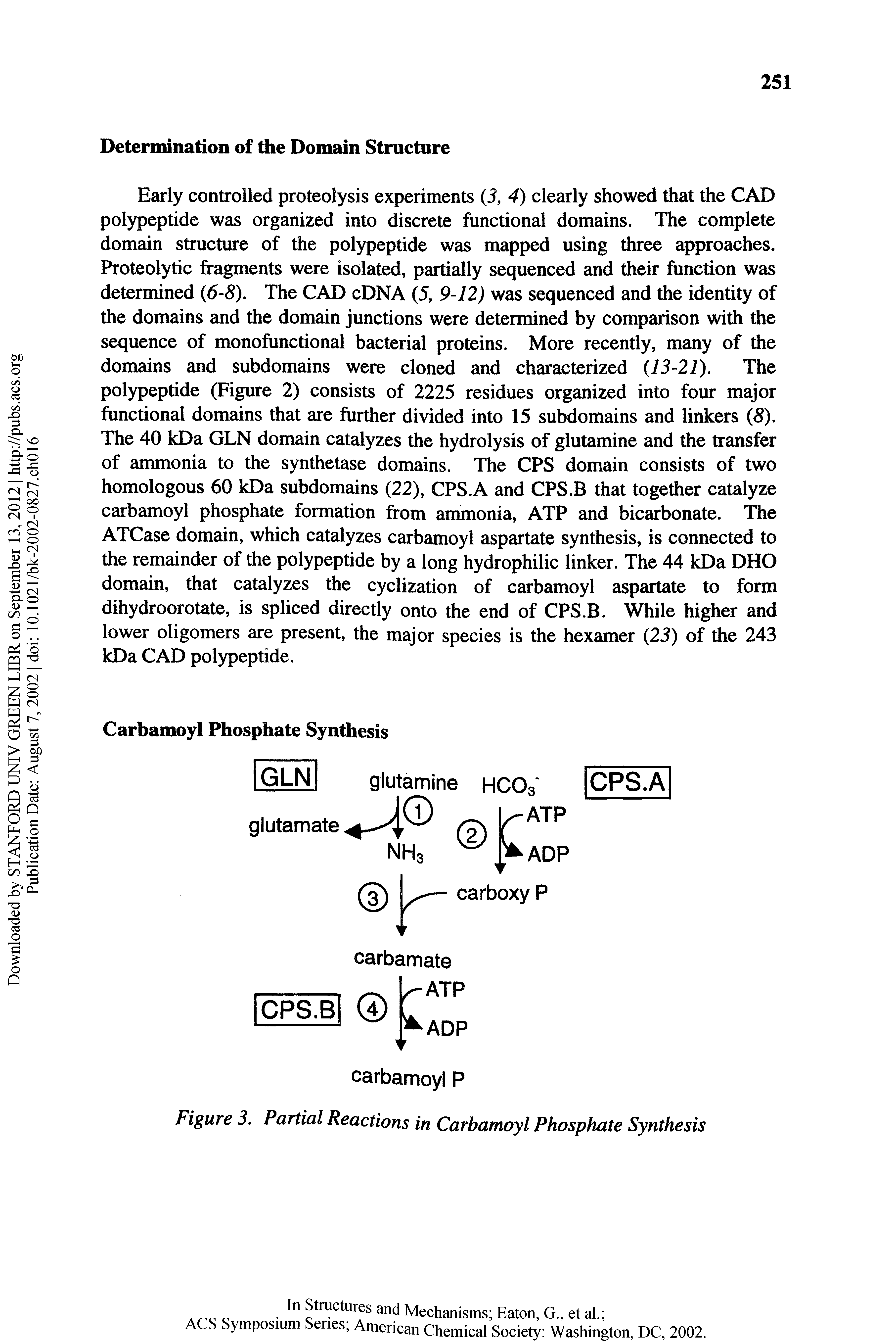 Figure 3. Partial Reactions in Carbamoyl Phosphate Synthesis...