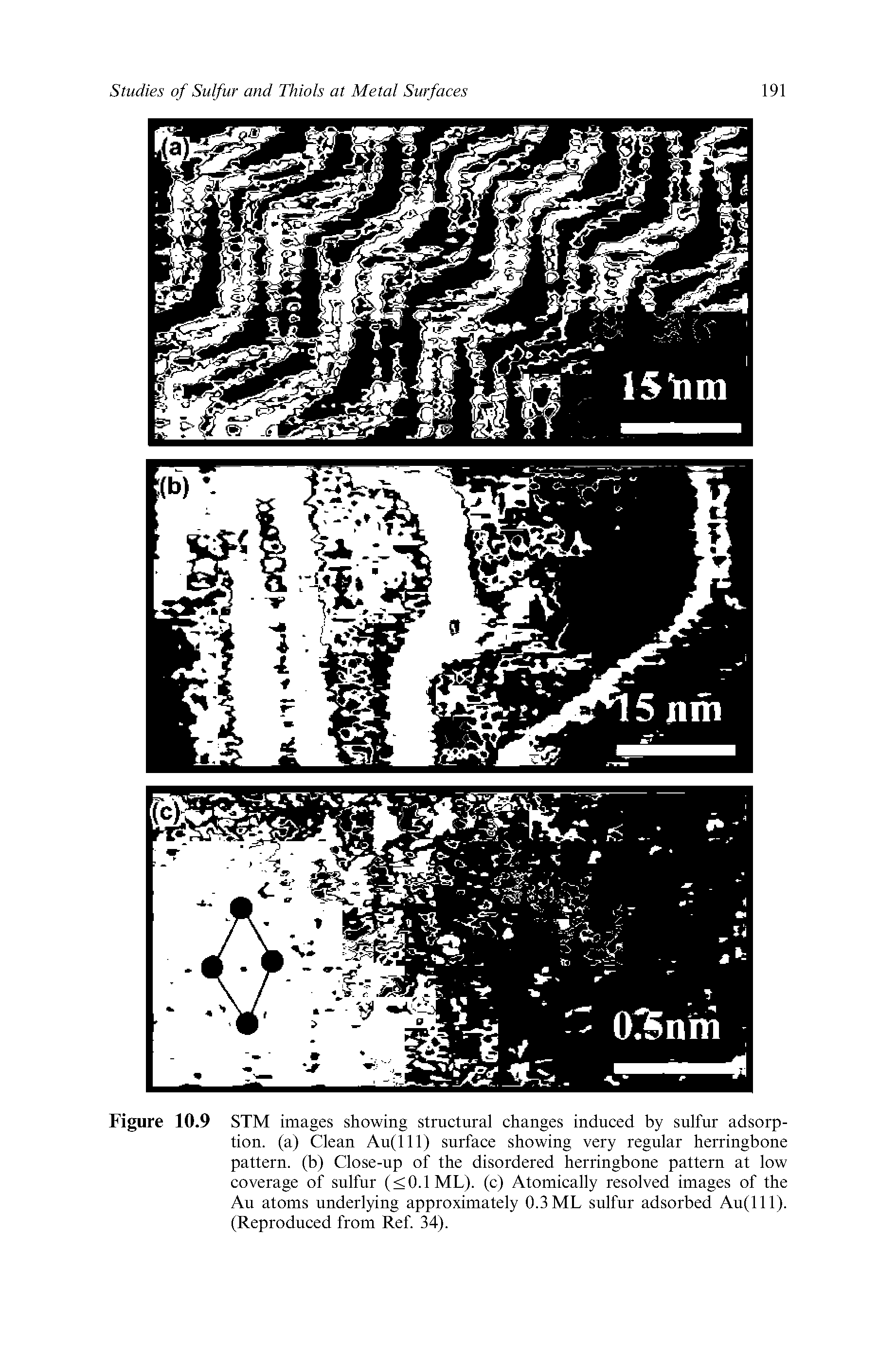 Figure 10.9 STM images showing structural changes induced by sulfur adsorption. (a) Clean Au(lll) surface showing very regular herringbone pattern, (b) Close-up of the disordered herringbone pattern at low coverage of sulfur (<0.1ML). (c) Atomically resolved images of the Au atoms underlying approximately 0.3 ML sulfur adsorbed Au(lll). (Reproduced from Ref. 34).
