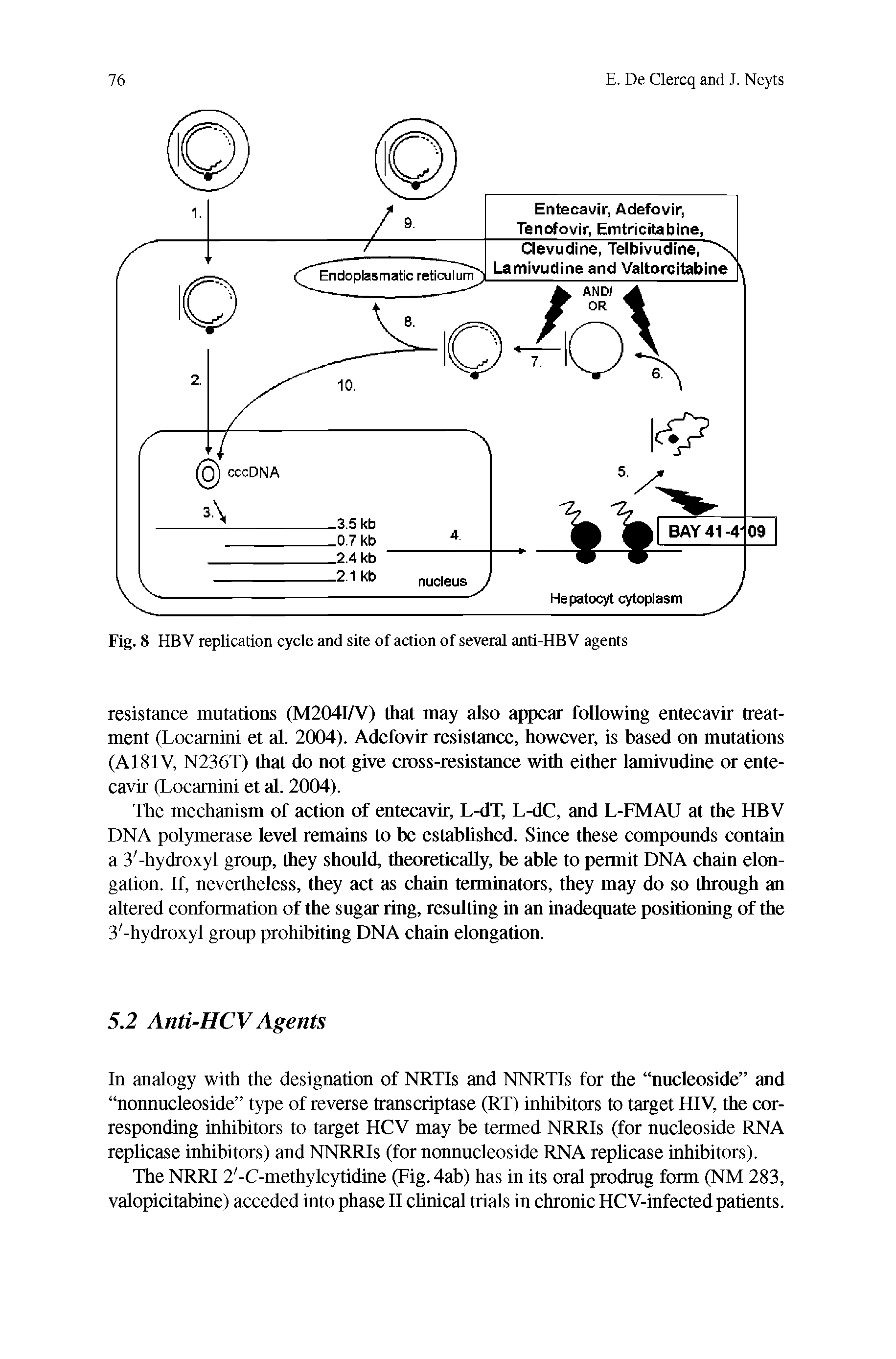 Fig. 8 HBV replication cycle and site of action of several anti-HBV agents...