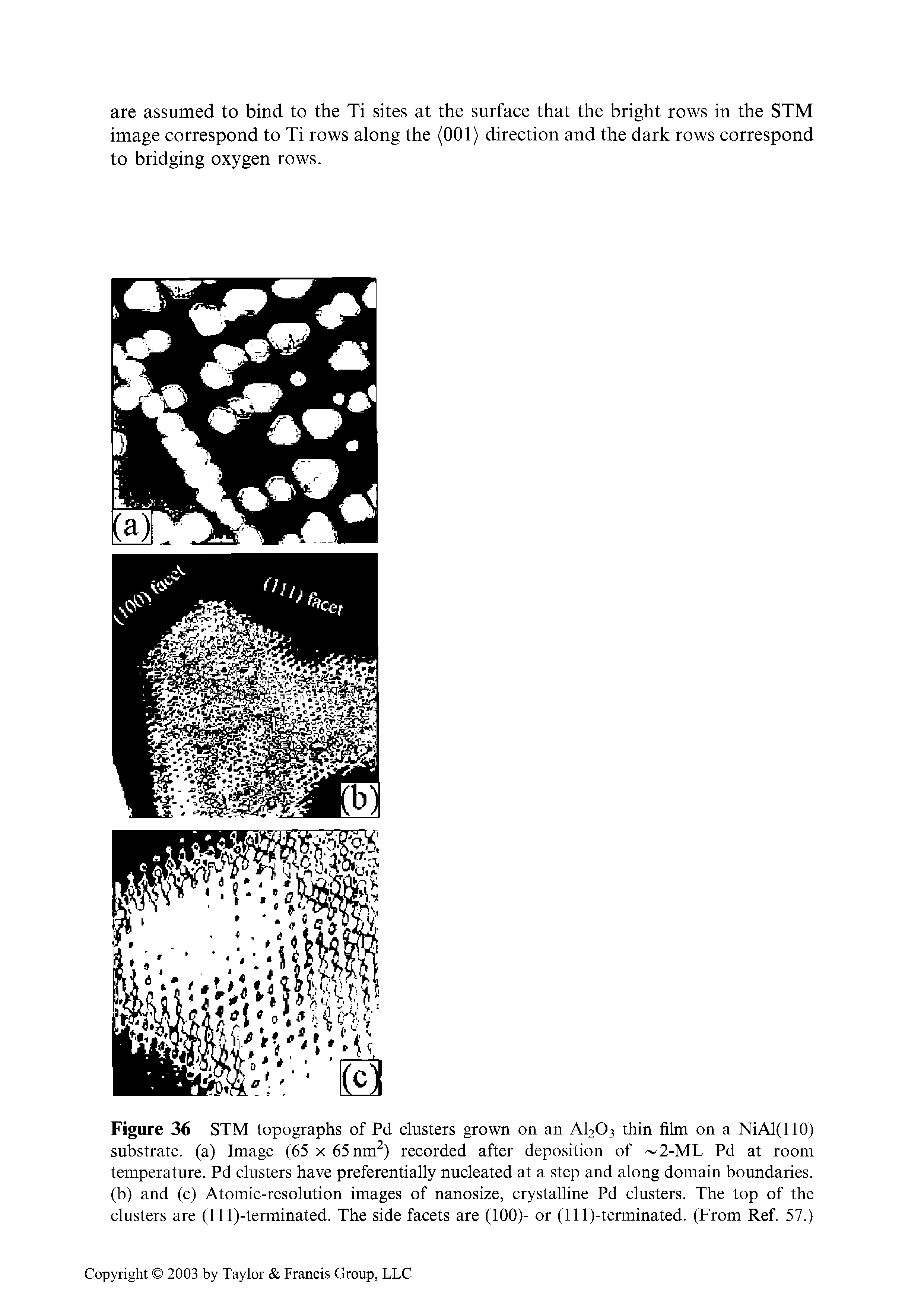 Figure 36 STM topographs of Pd clusters grown on an AI2O3 thin film on a NiAl(llO) substrate, (a) Image (65 x 65 nm ) recorded after deposition of 2-ML Pd at room temperature. Pd clusters have preferentially nucleated at a step and along domain boundaries, (b) and (c) Atomic-resolution images of nanosize, crystalline Pd clusters. The top of the clusters are (11 l)-terminated. The side facets are (100)- or (lll)-terminated. (From Ref. 57.)...