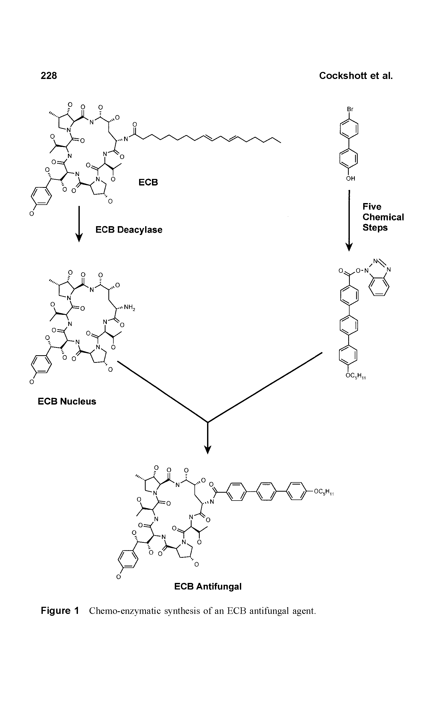 Figure 1 Chemo-enzymatic synthesis of an ECB antifungal agent.